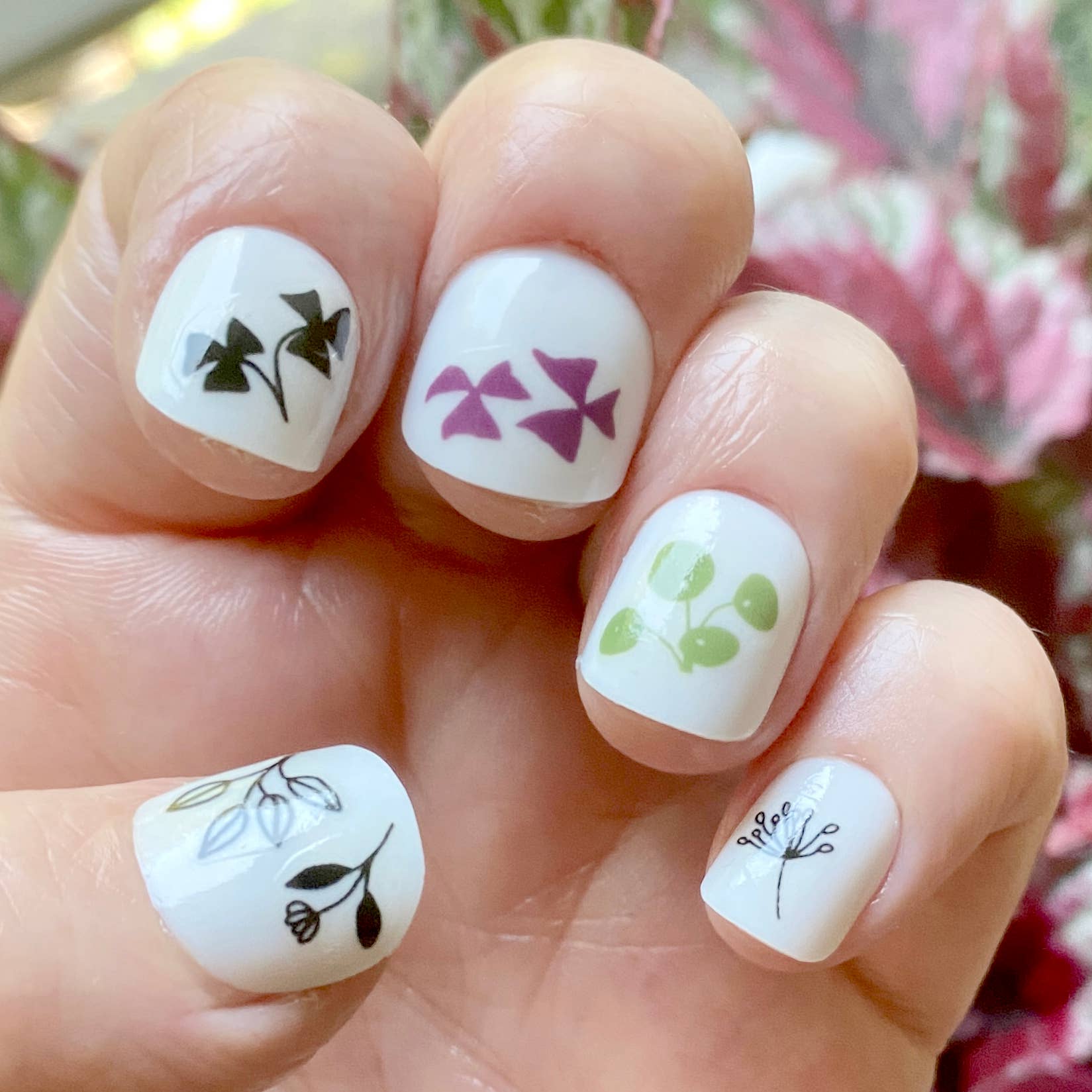 Plant Nail Art Transfers