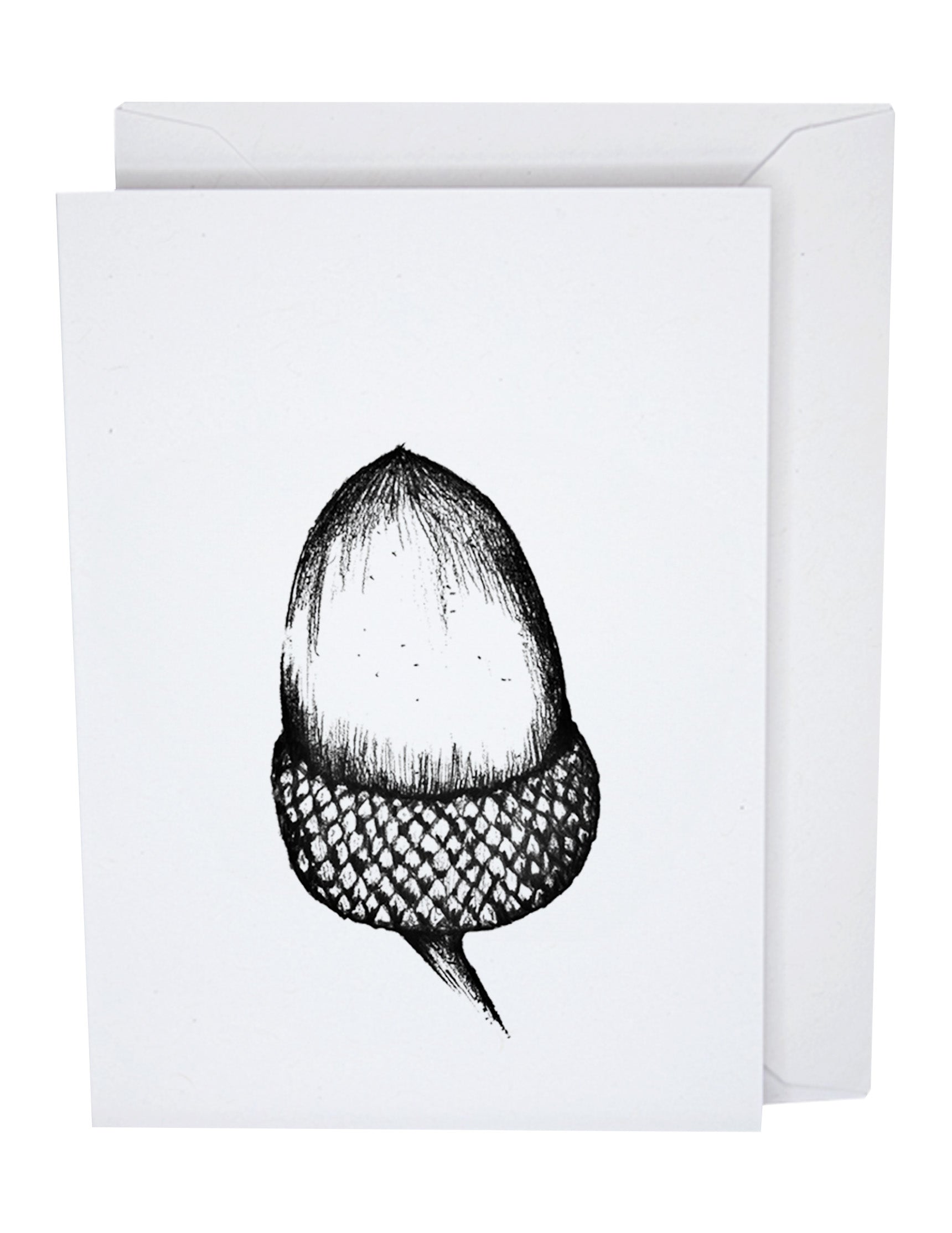 Acorn Recycled Paper Blank Greeting Card