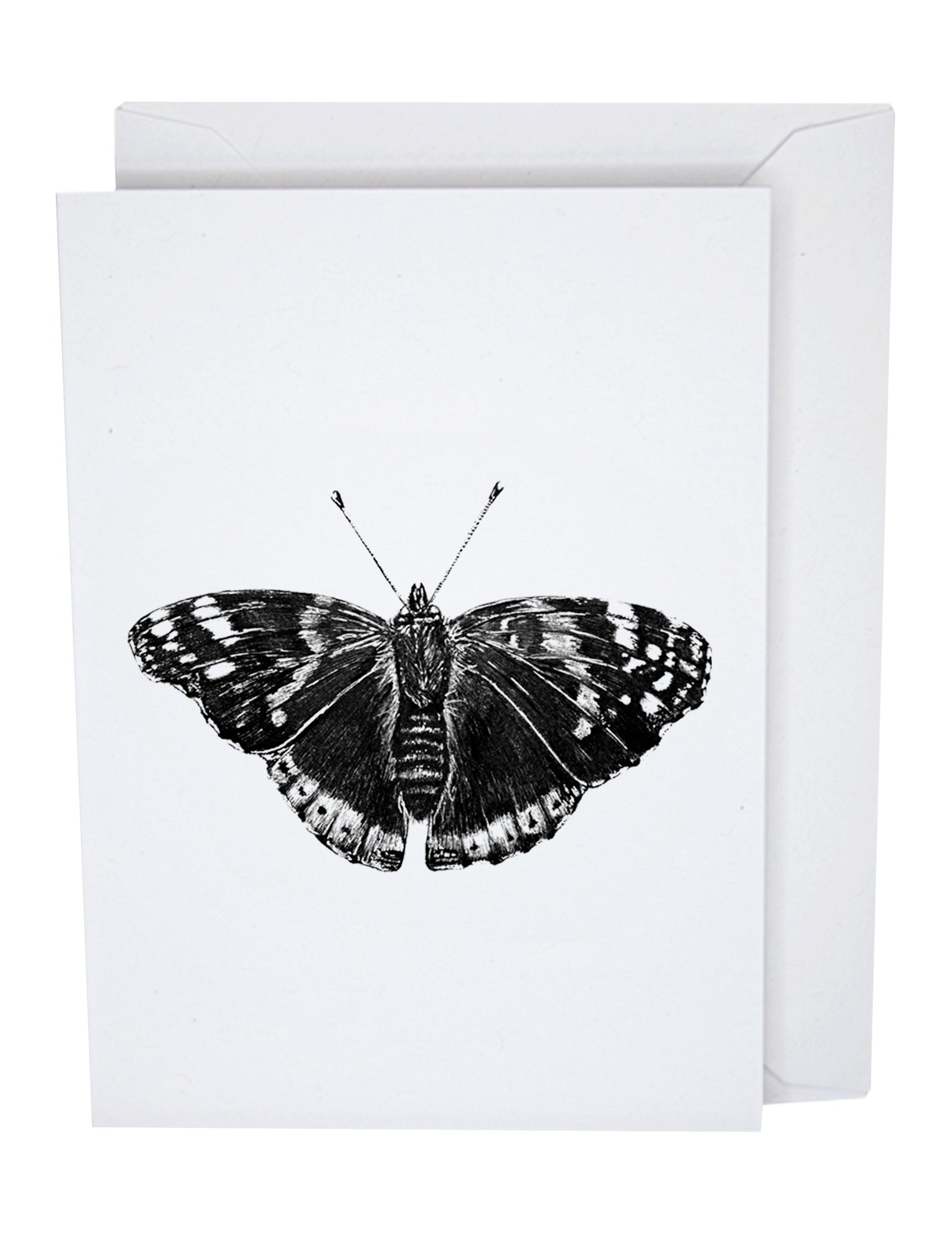 Butterfly Recycled Paper Blank Greeting Card