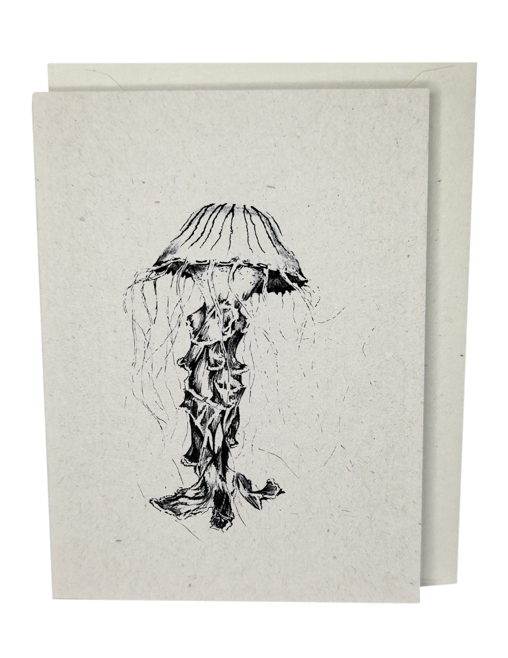 Compass Jellyfish Recycled Paper Brown Blank Greeting Card