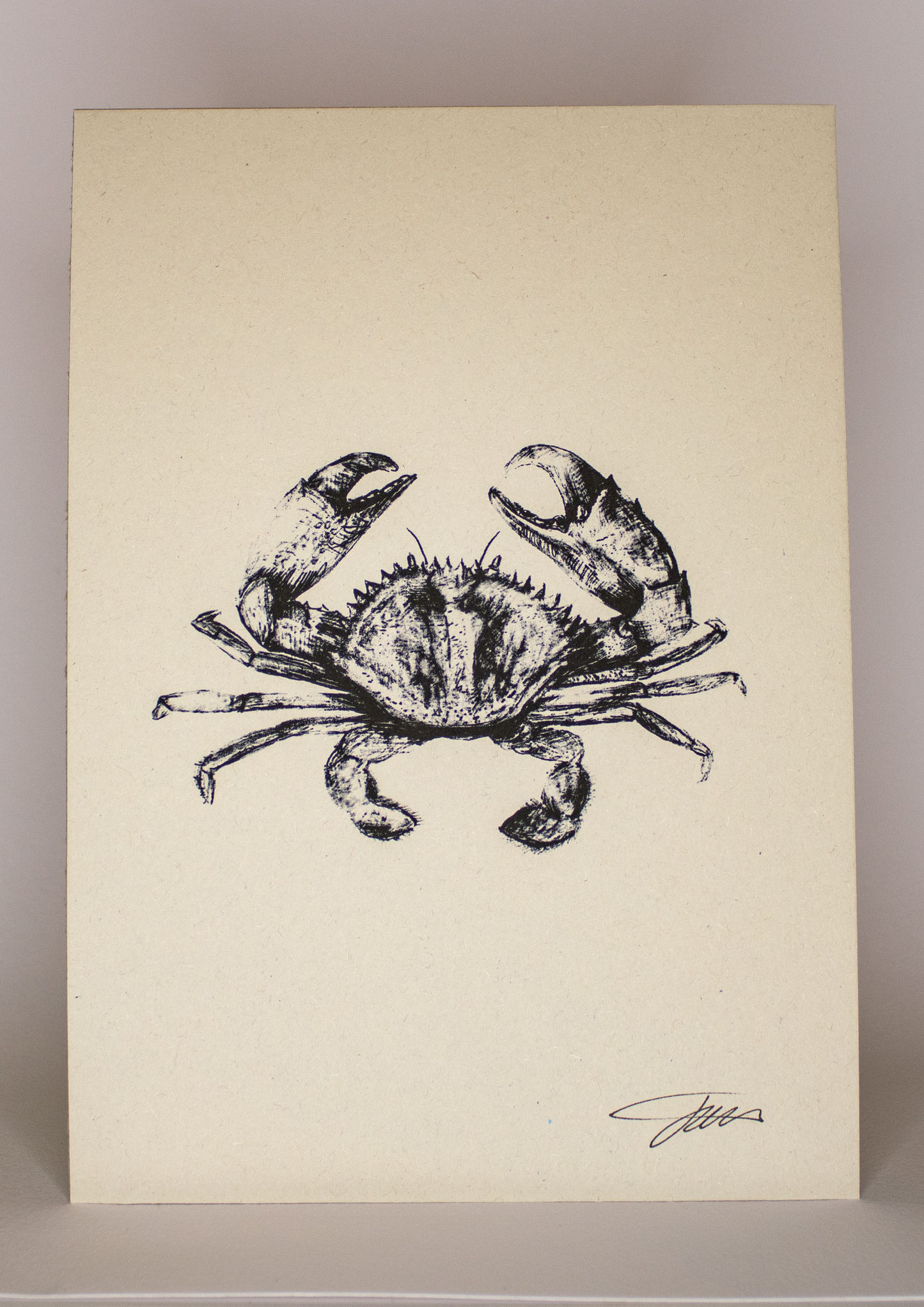 Crab Wildlife Art Print