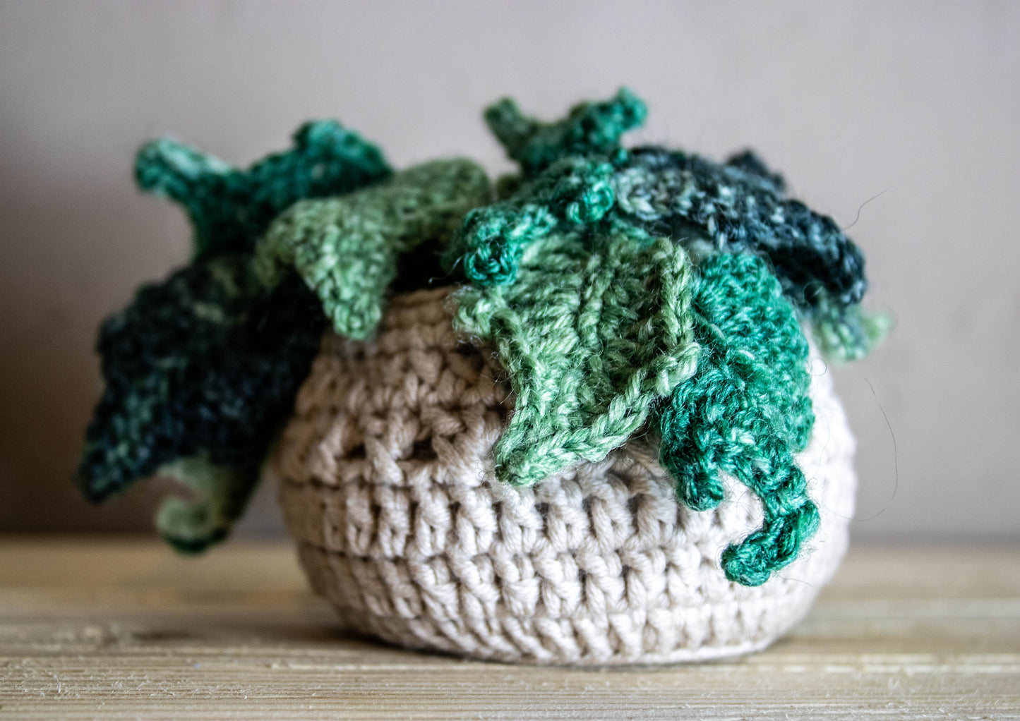 Crochet Houseplant - Ivy