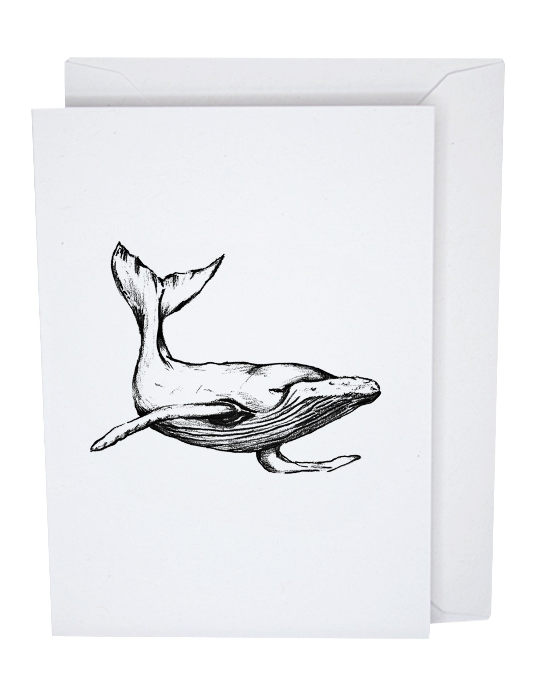 Humpback Whale Recycled Paper Blank Greeting Card