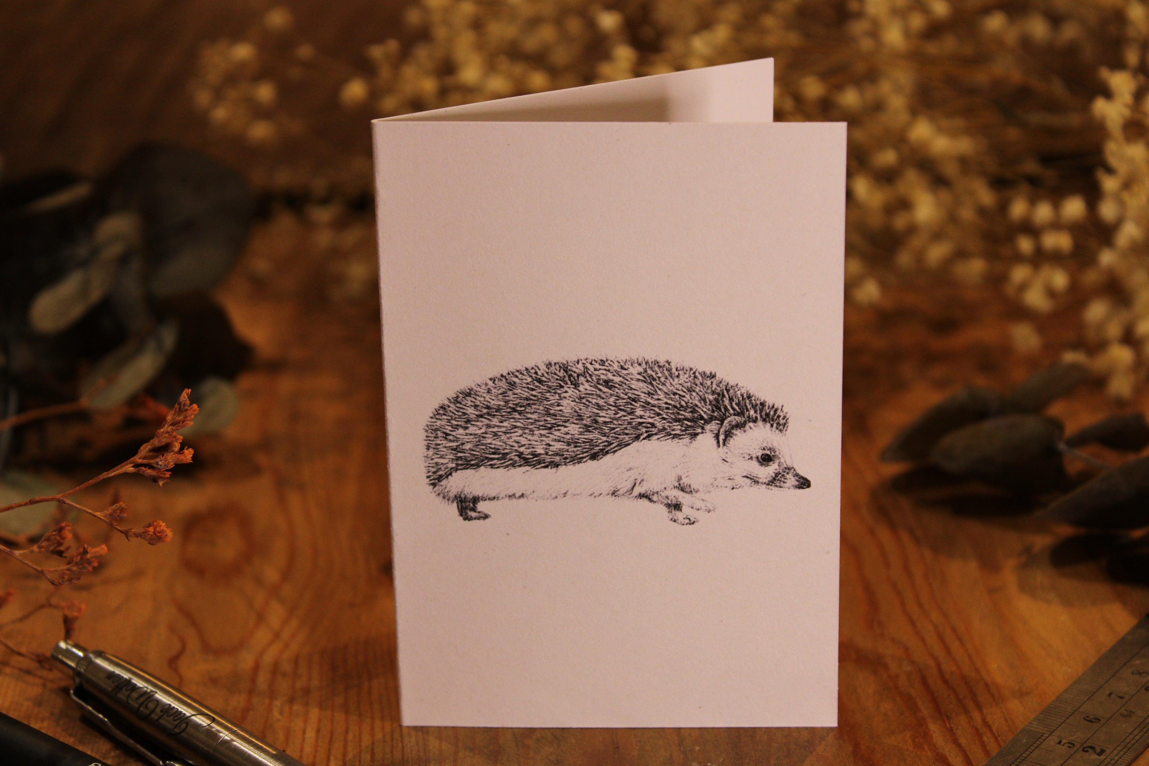 Hedgehog Greeting Card