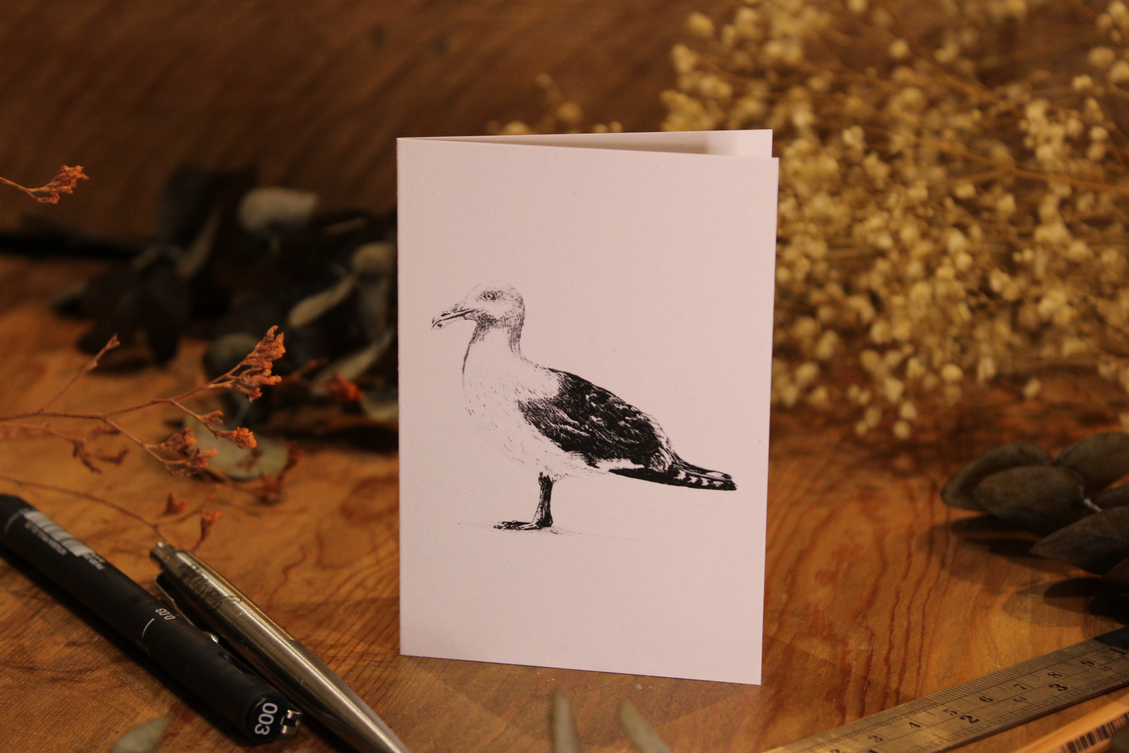 Seagull Greeting Card