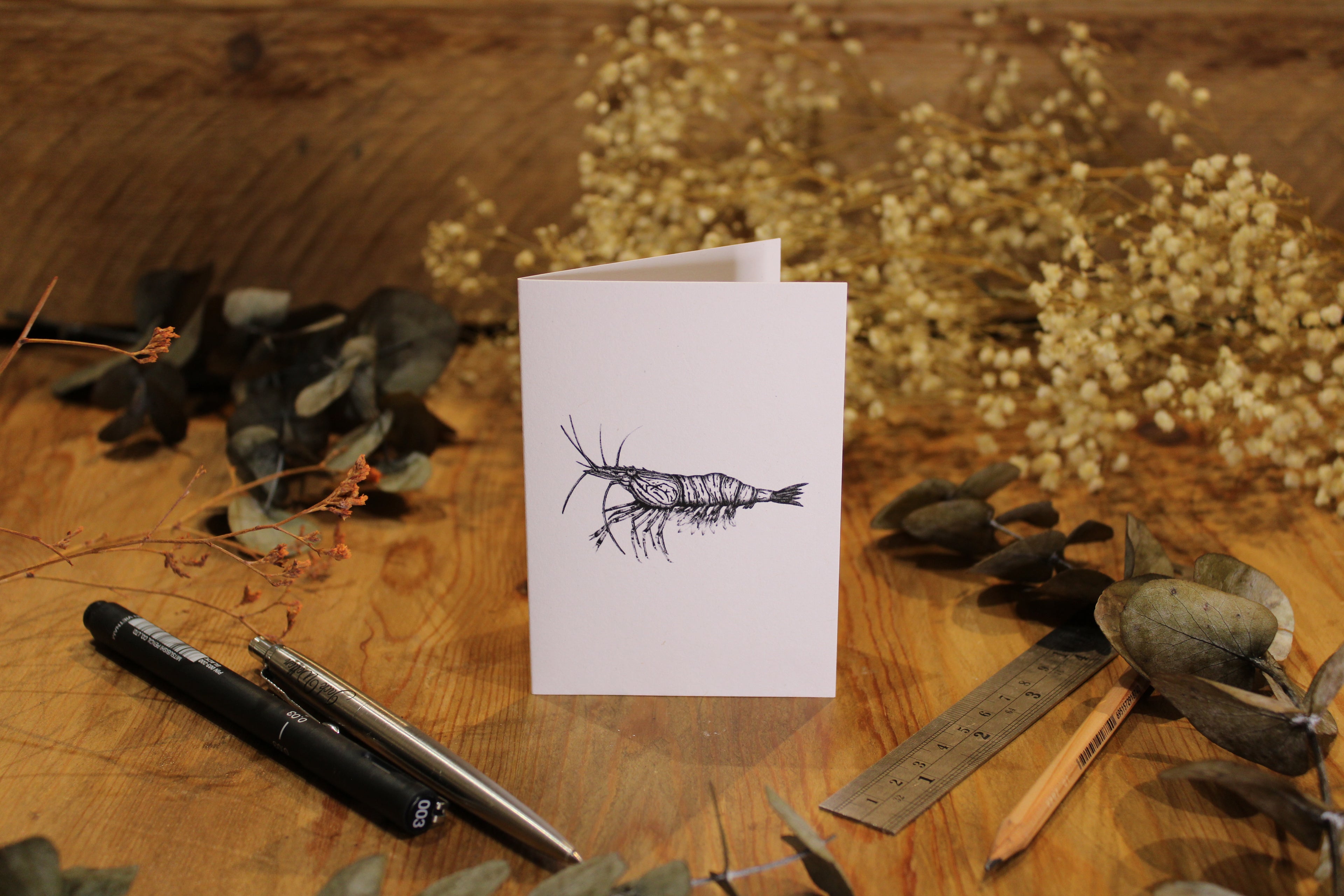 Shrimp Greeting Card