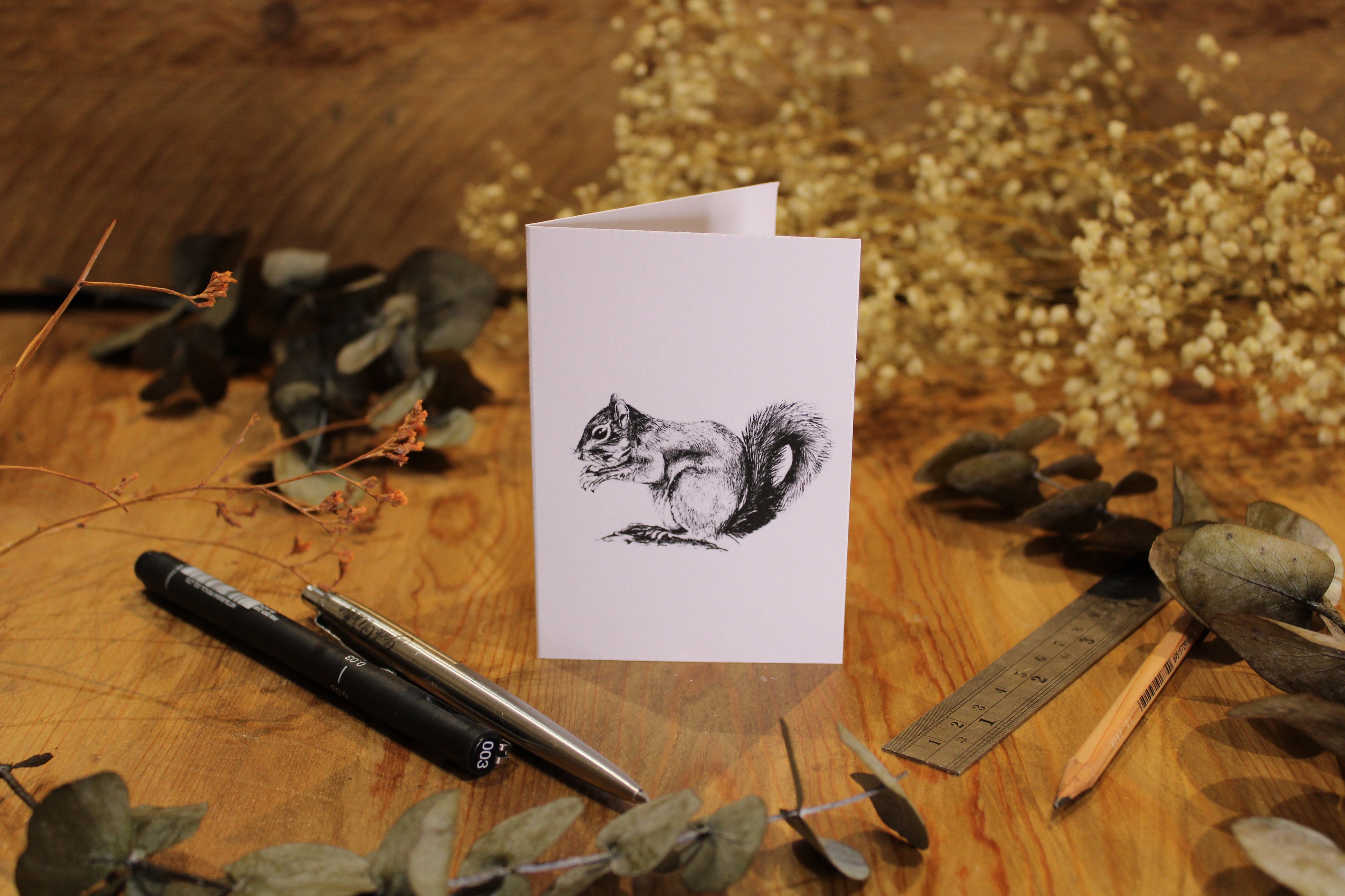 Squirrel Greeting Card