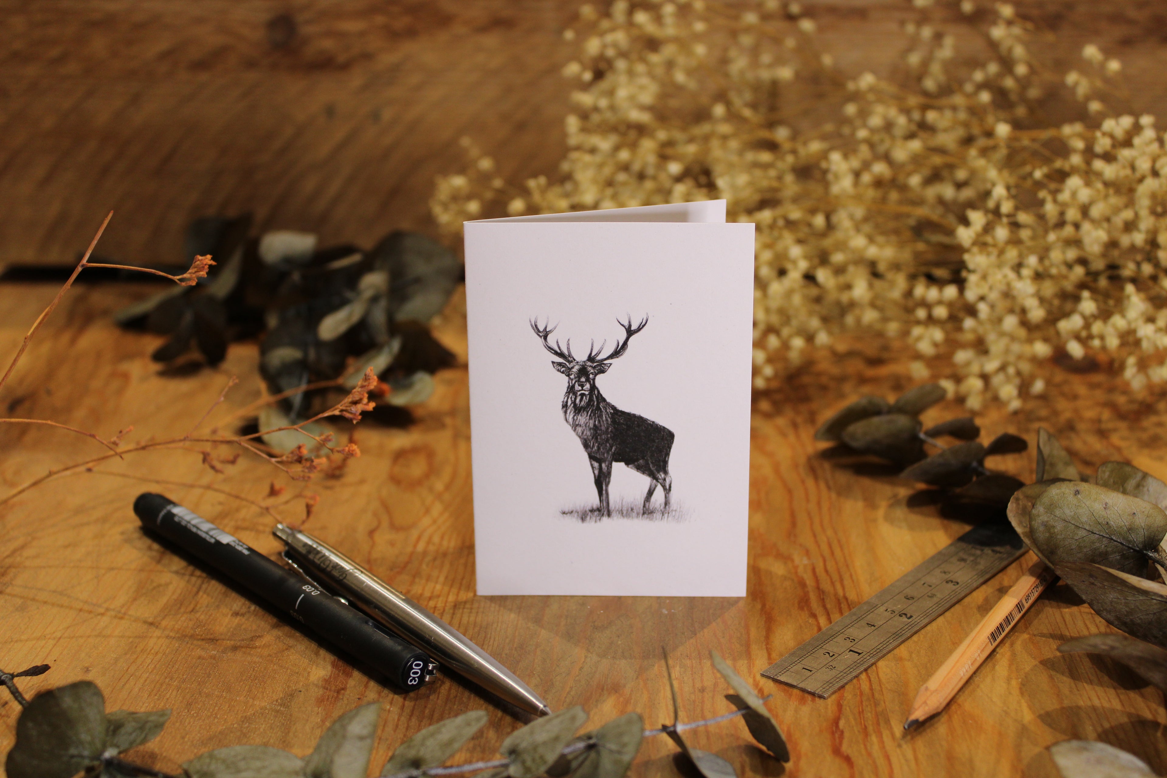 Stag Greeting Card