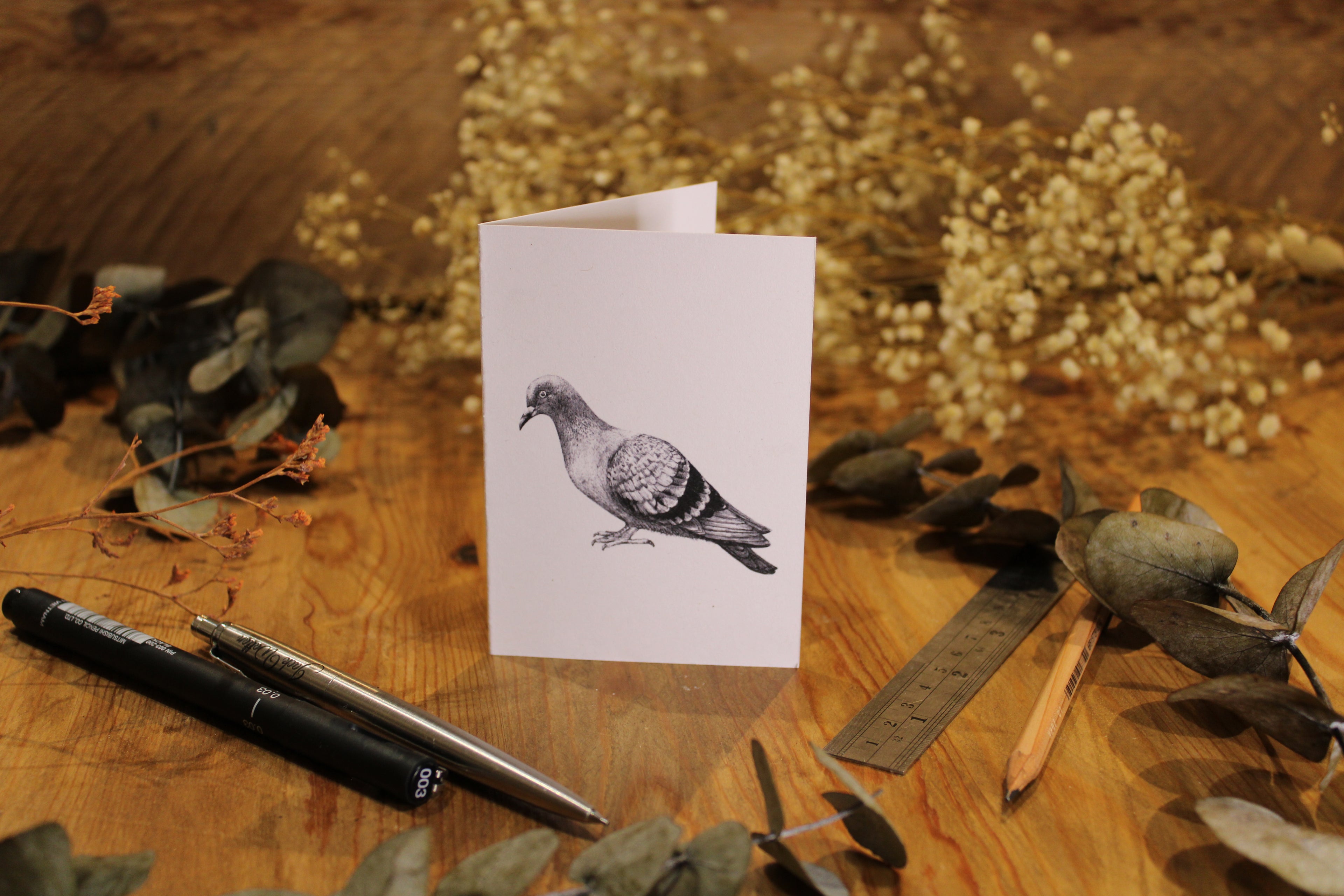Pigeon Greeting Card