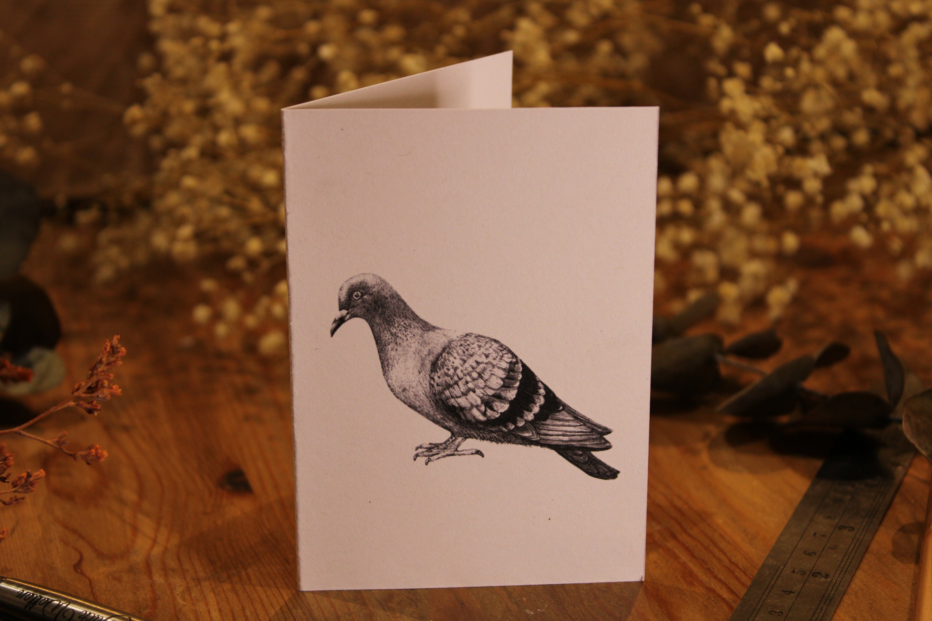 Pigeon Greeting Card