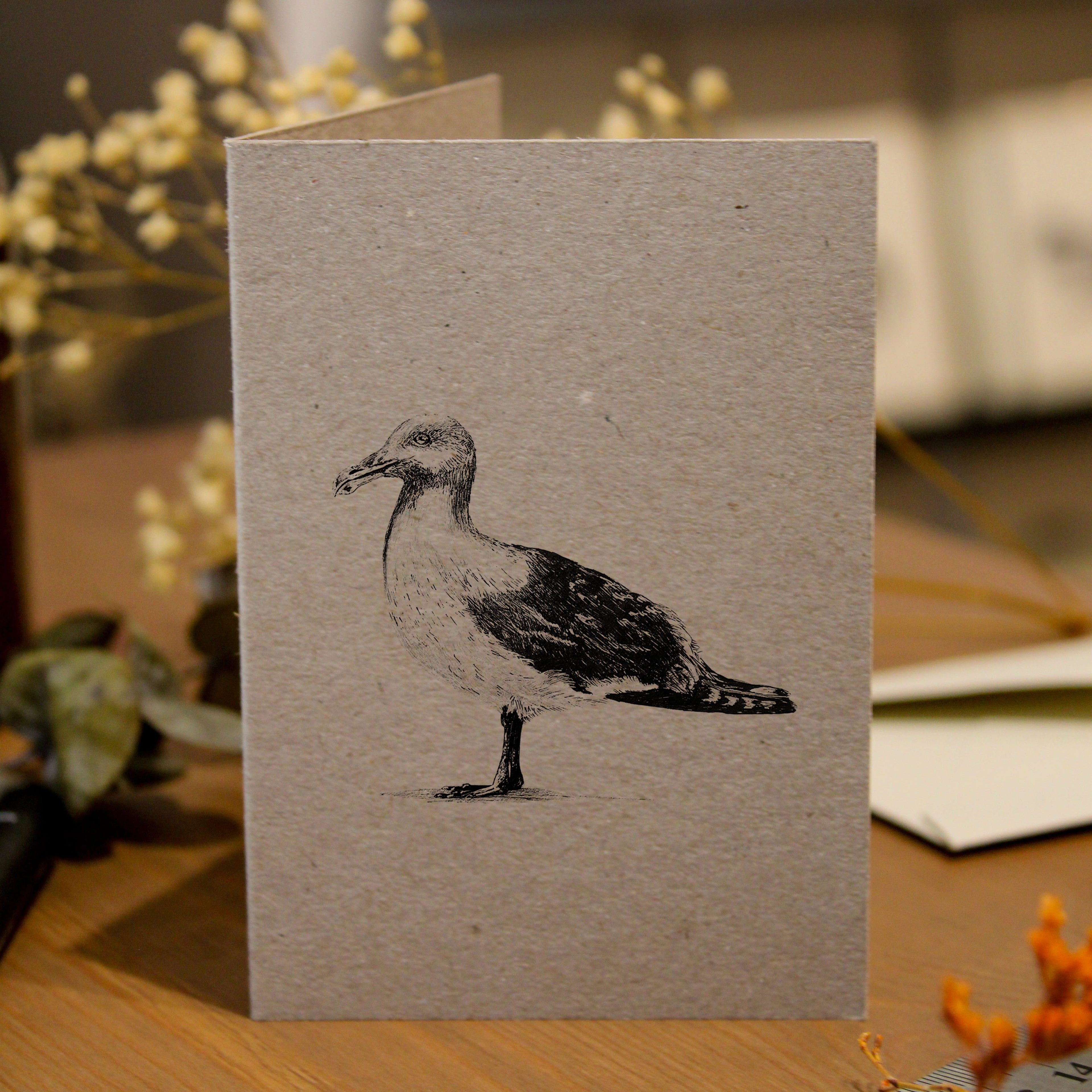 Seagull Greeting Card