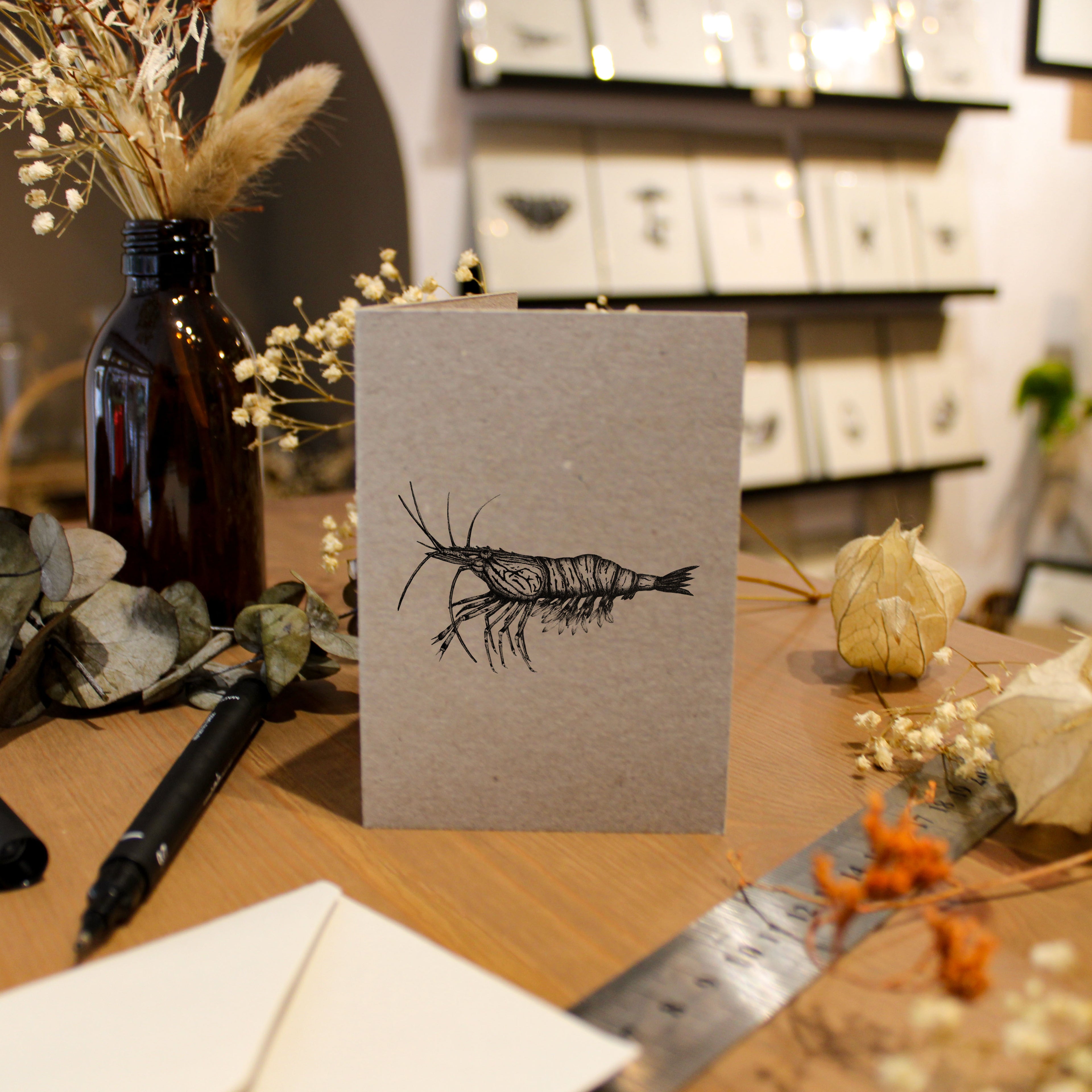 Shrimp Greeting Card