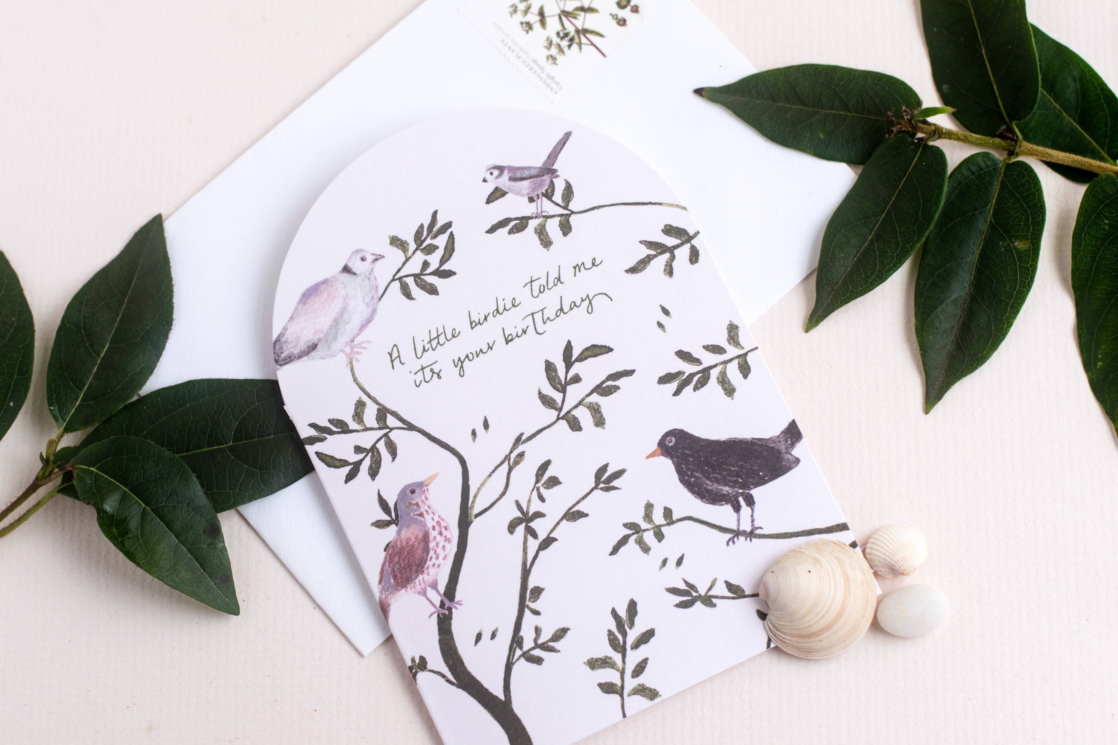 Little Birdy Birthday Greeting Card