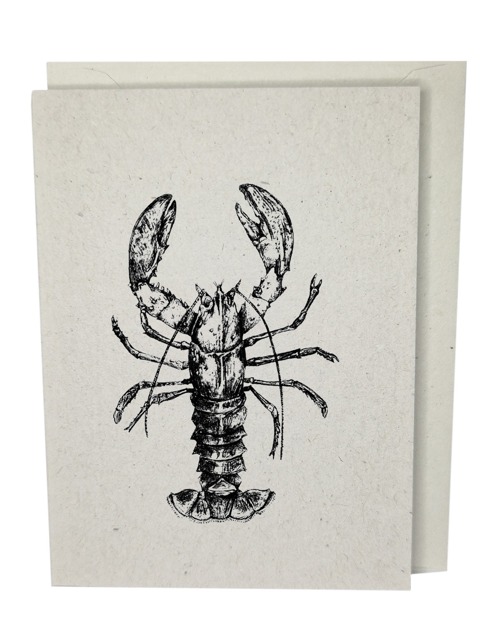 Lobster Recycled Paper Brown Blank Greeting Card