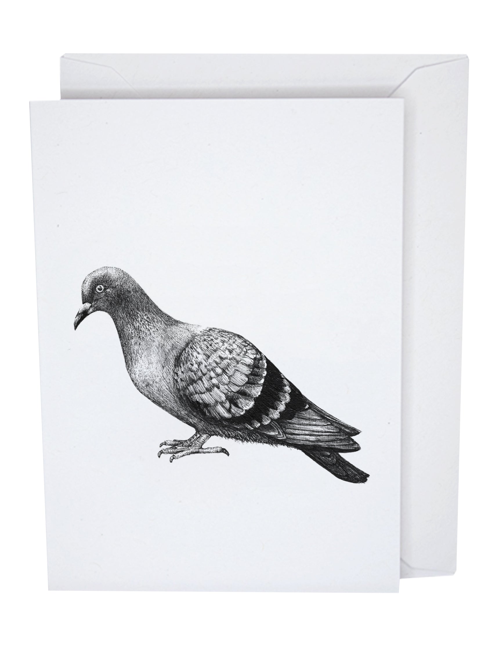 Pigeon Recycled Paper Blank Greeting Note Card