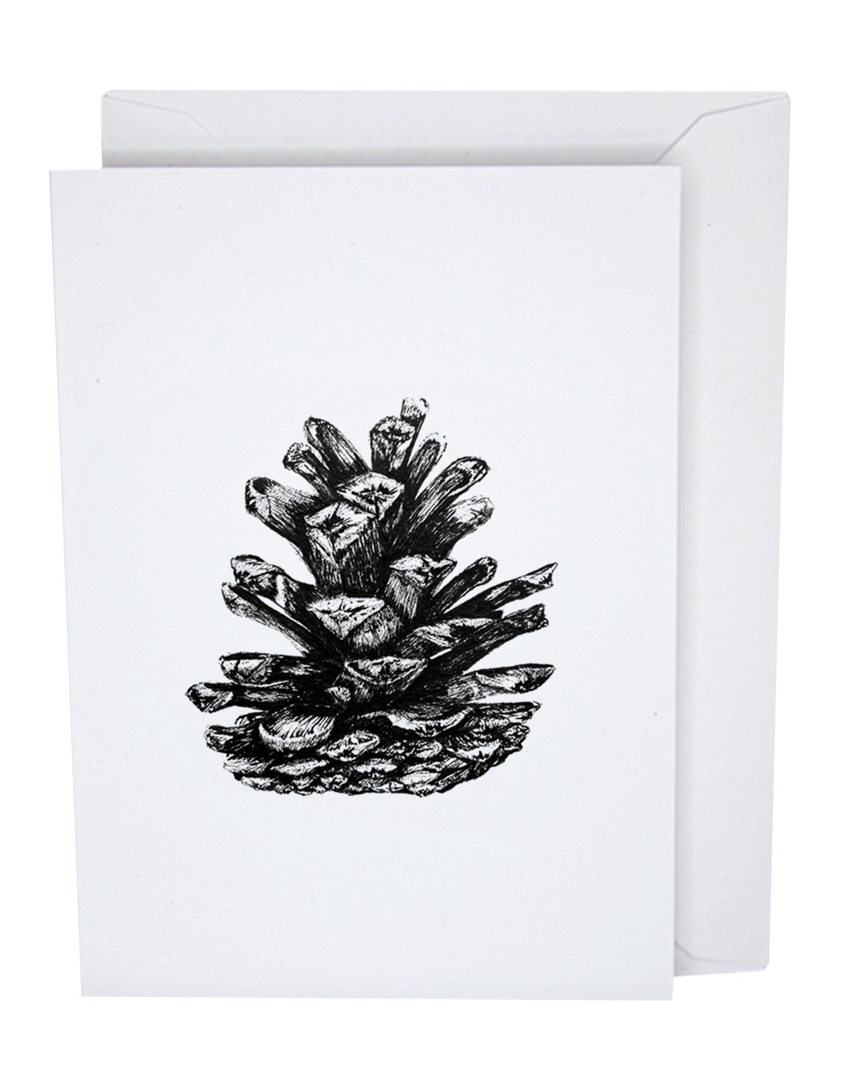 Pine Cone Recycled Paper Blank Greeting Card