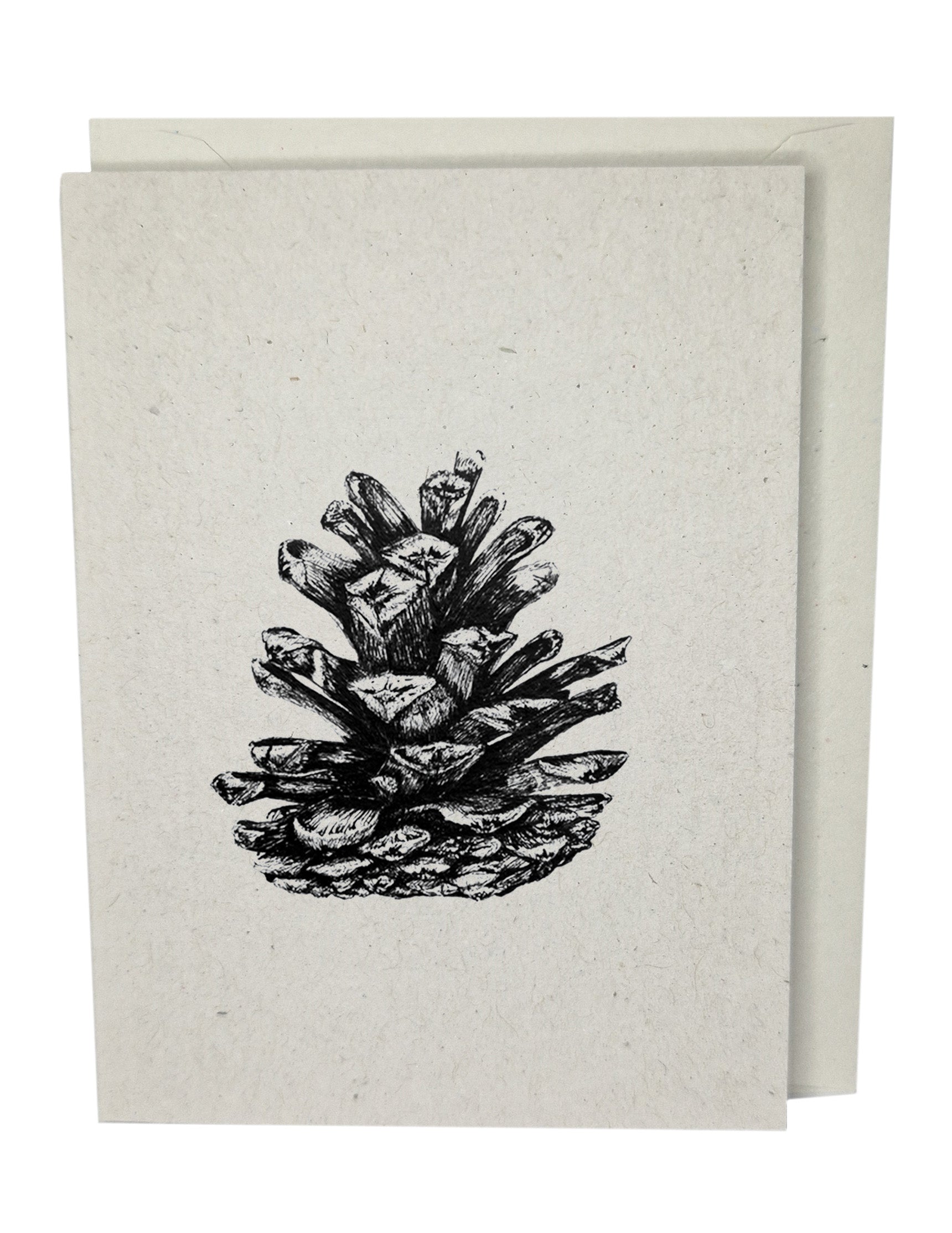 Pine Cone Recycled Paper Brown Blank Greeting Card