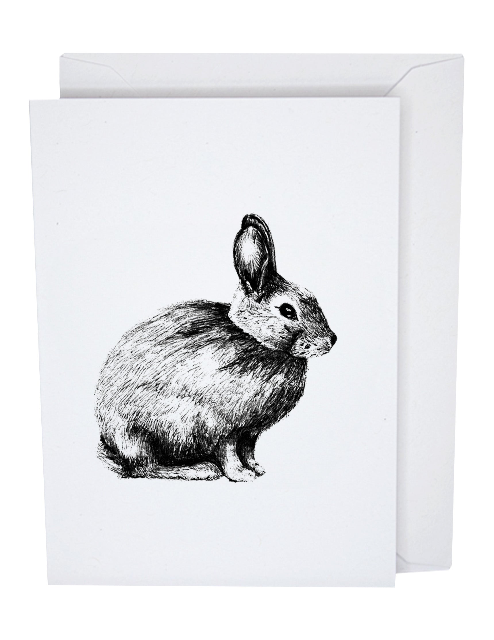 Rabbit Bunny Recycled Paper Blank Greeting Card