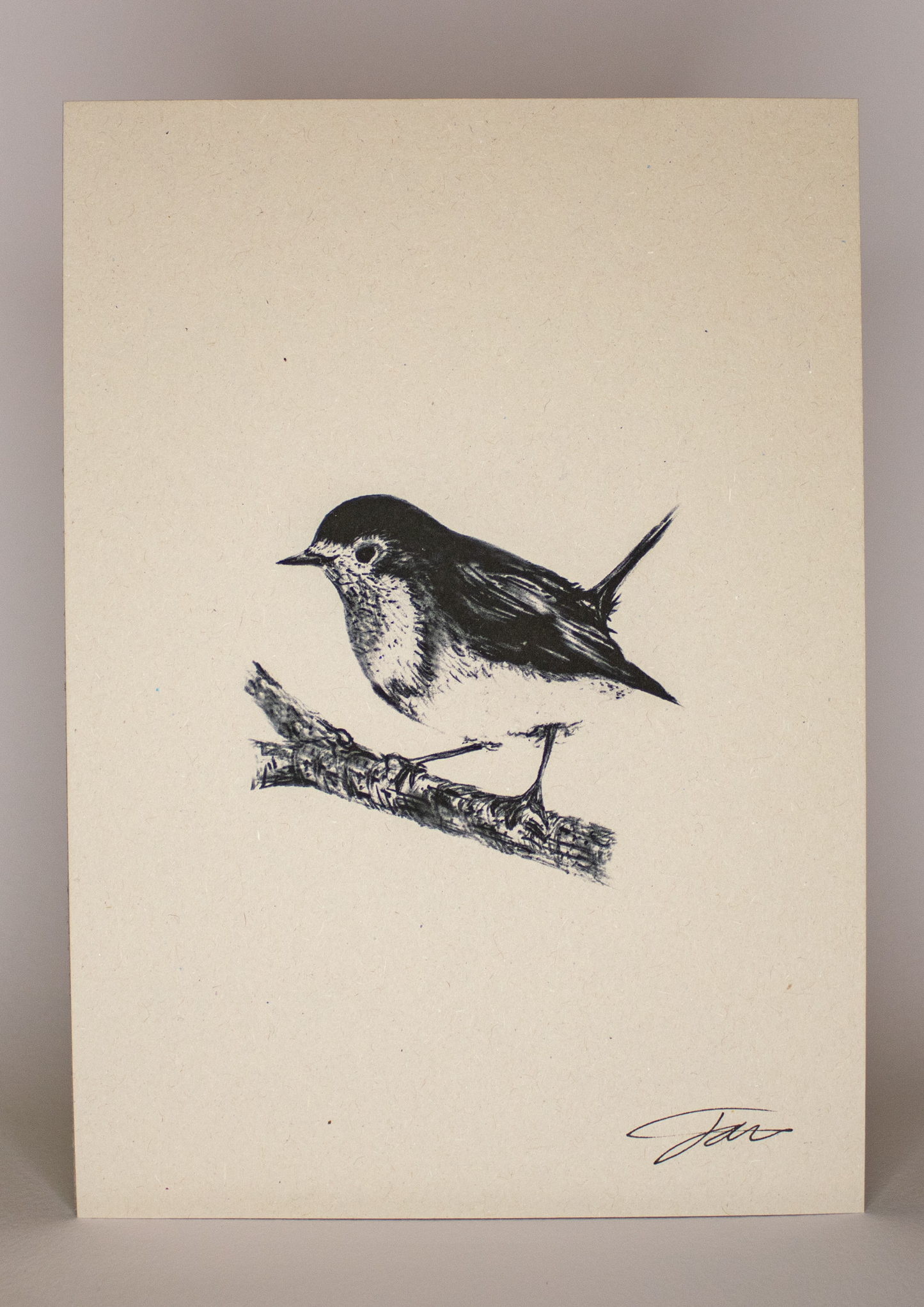 Robin Art Print On Recycled Paper by Jack Wotton