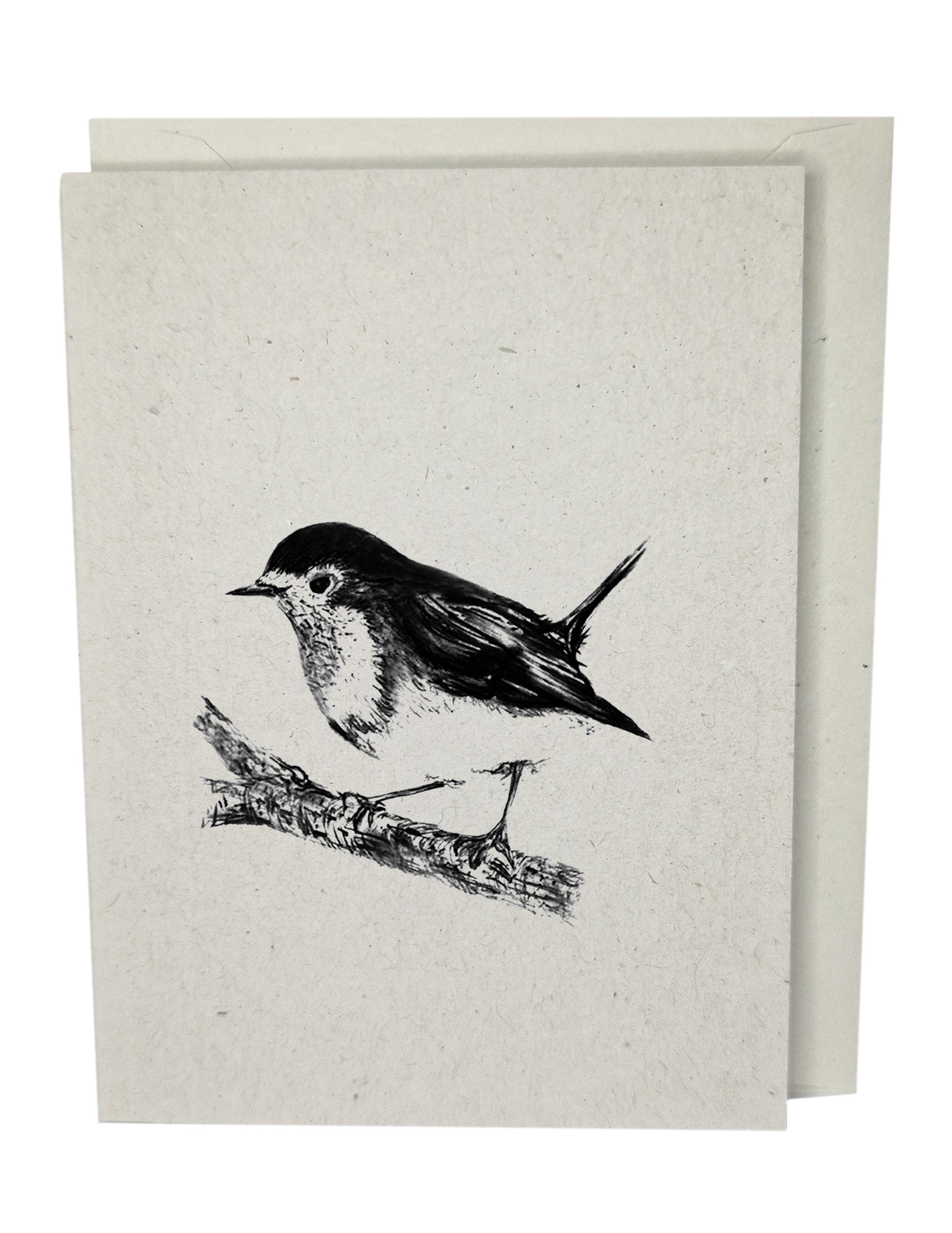 Robin Greeting Card on Recycled Paper by Jack Wotton Art