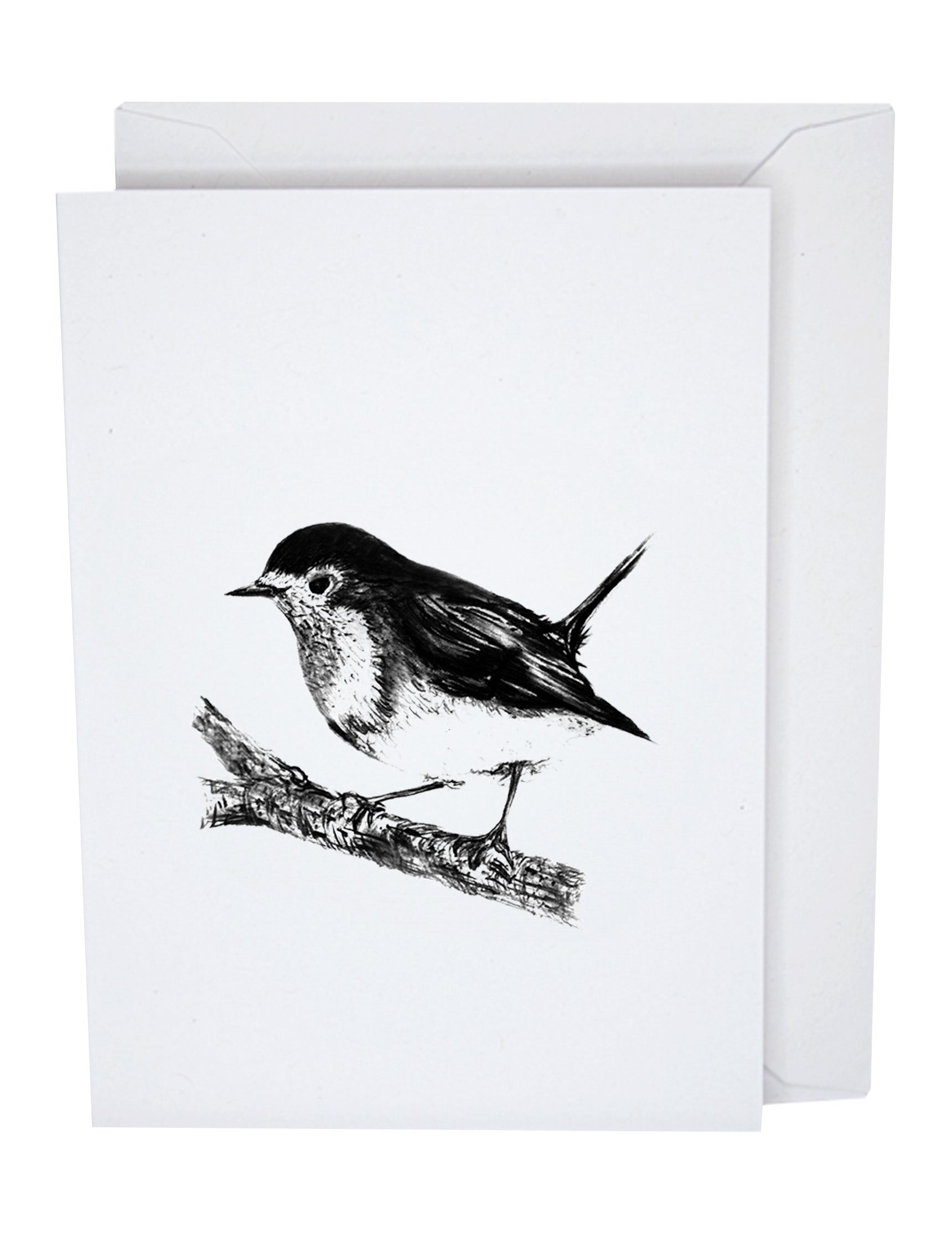 Robin Greeting Card on Recycled Paper by Jack Wotton Art