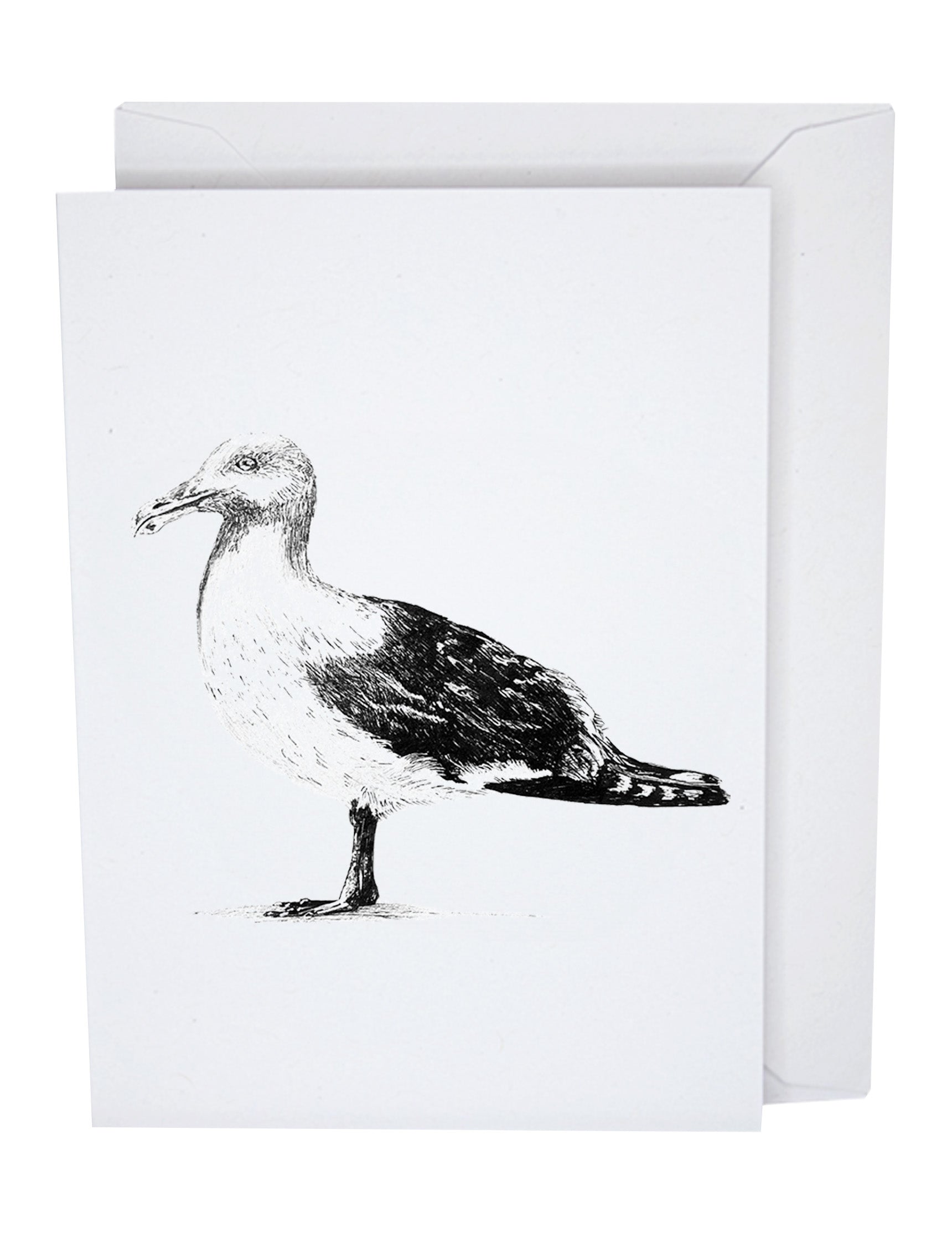 Seagull Recycled Paper Blank Greeting Card