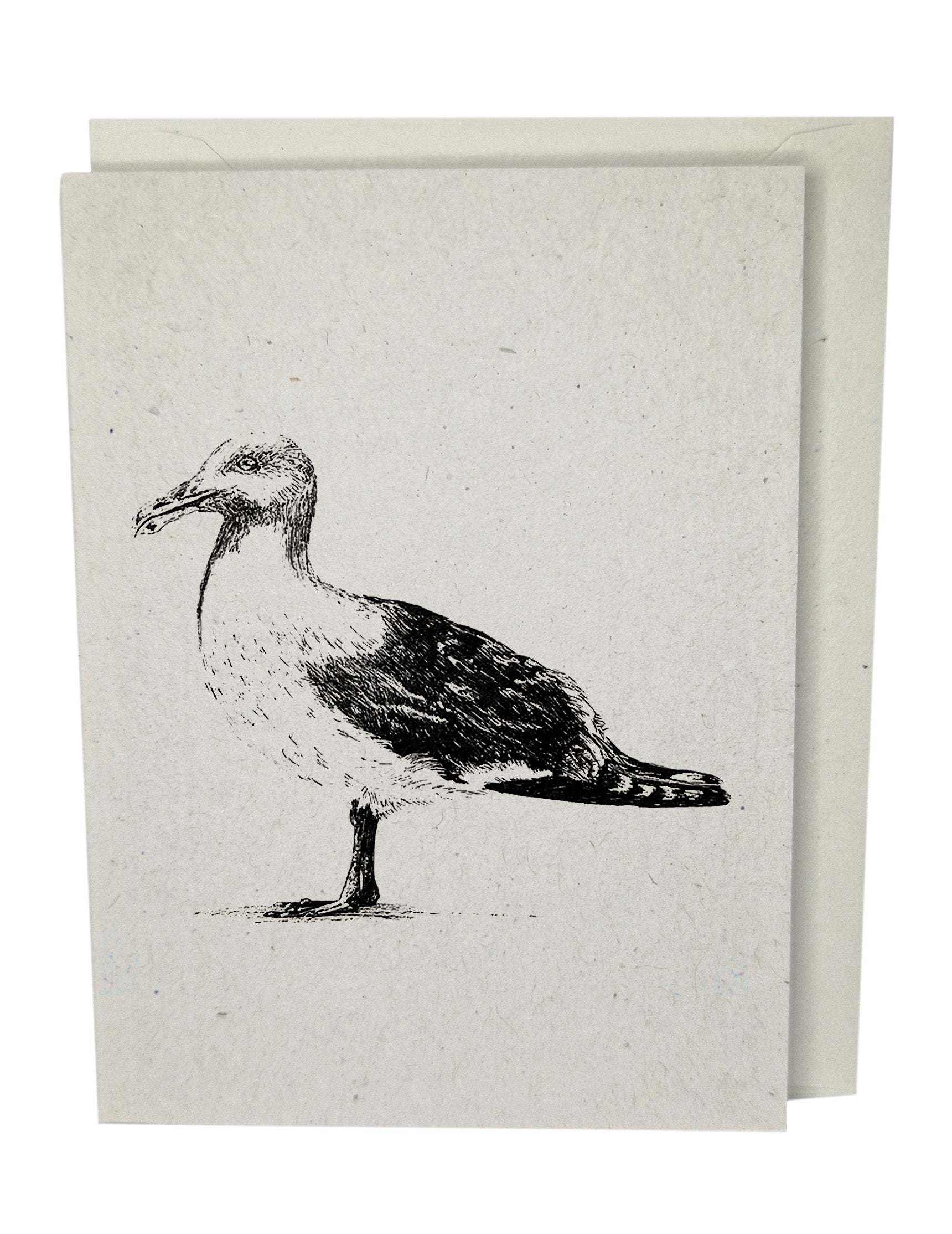 Seagull Recycled Paper Brown Blank Greeting Card