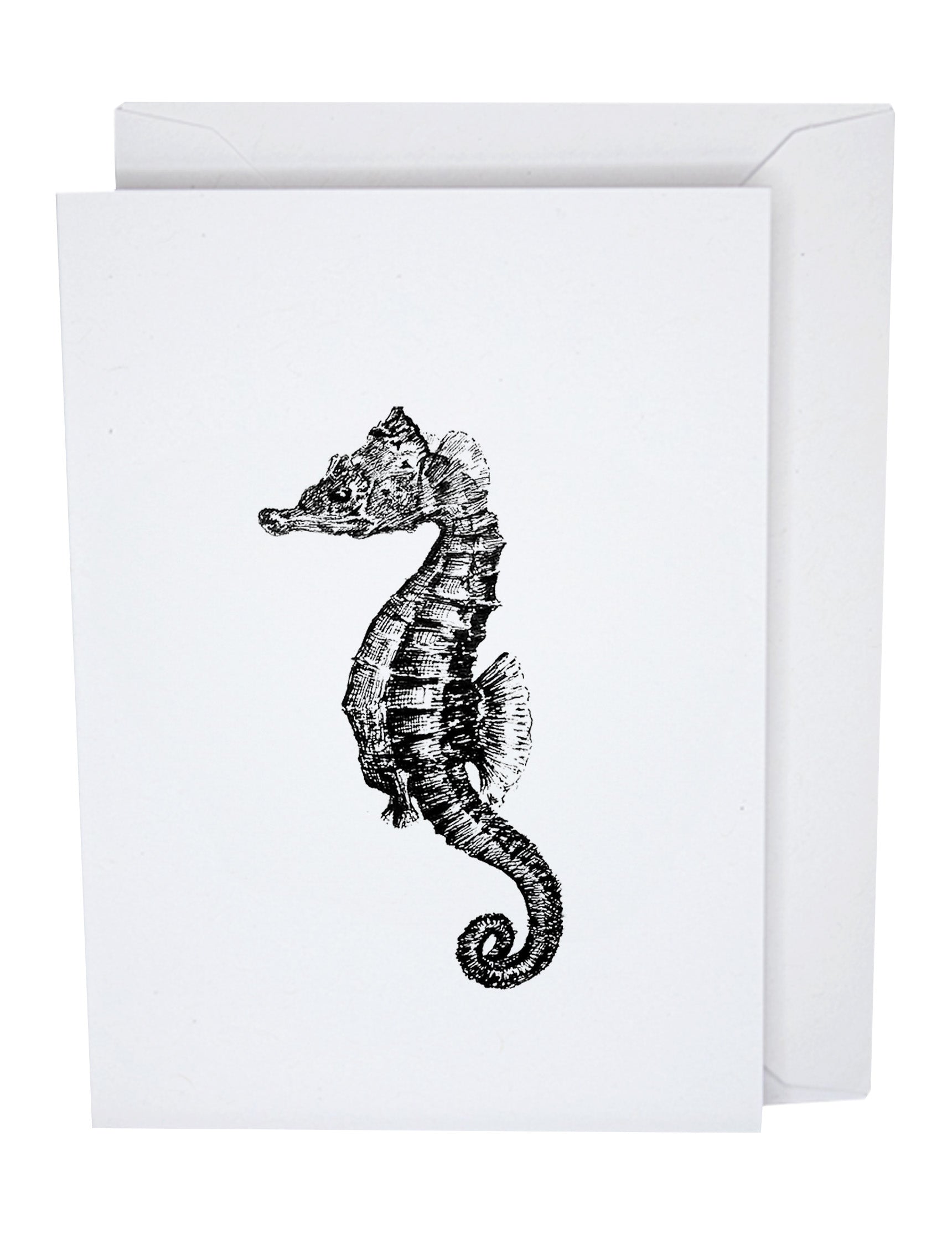 Seahorse Recycled Paper Blank Greeting Card