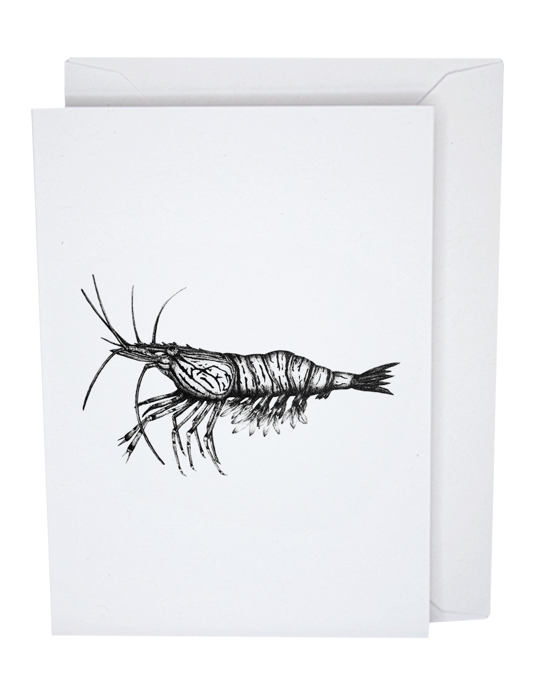 Shrimp Prawn Recycled Paper Blank Greeting Card
