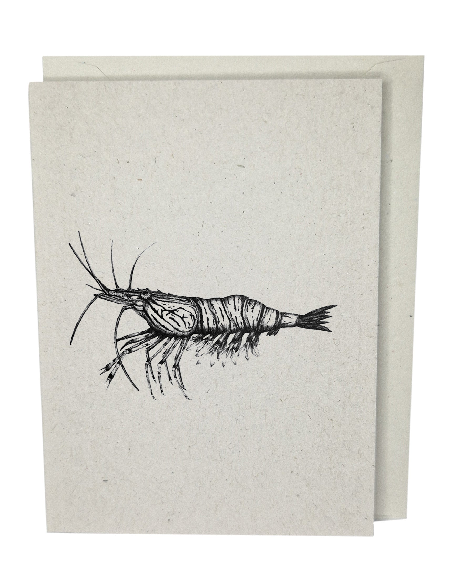 Shrimp Prawn  Recycled Paper Brown Blank Greeting Card