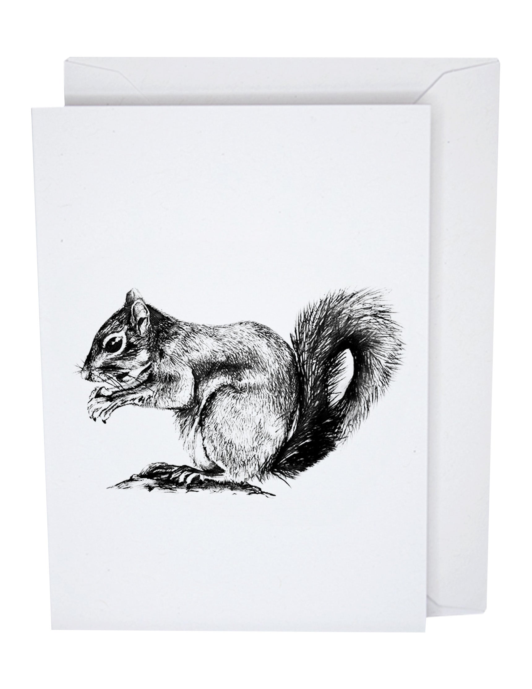 Squirrel Recycled Paper Blank Greeting Card