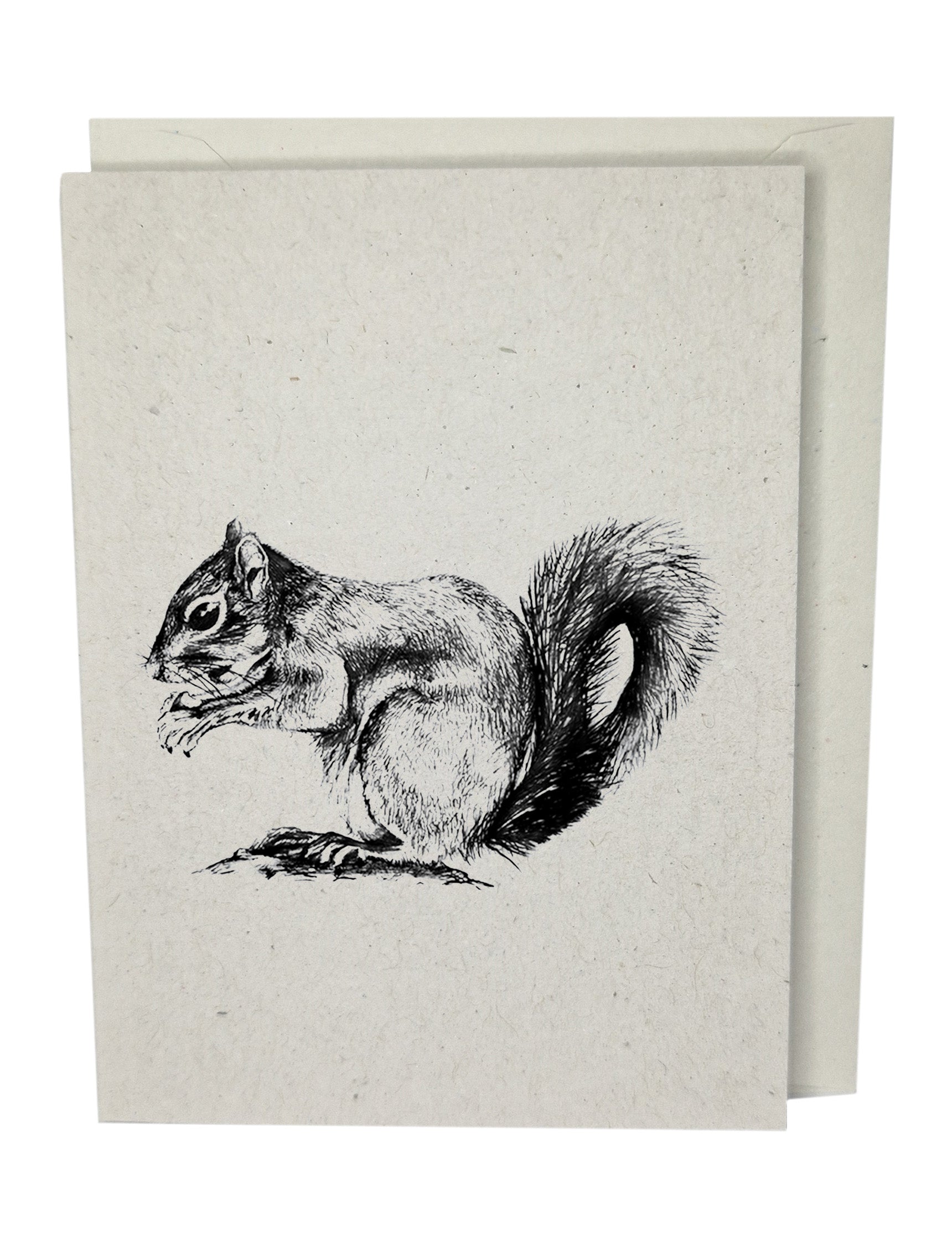 Squirrel Recycled Paper Brown Blank Greeting Card