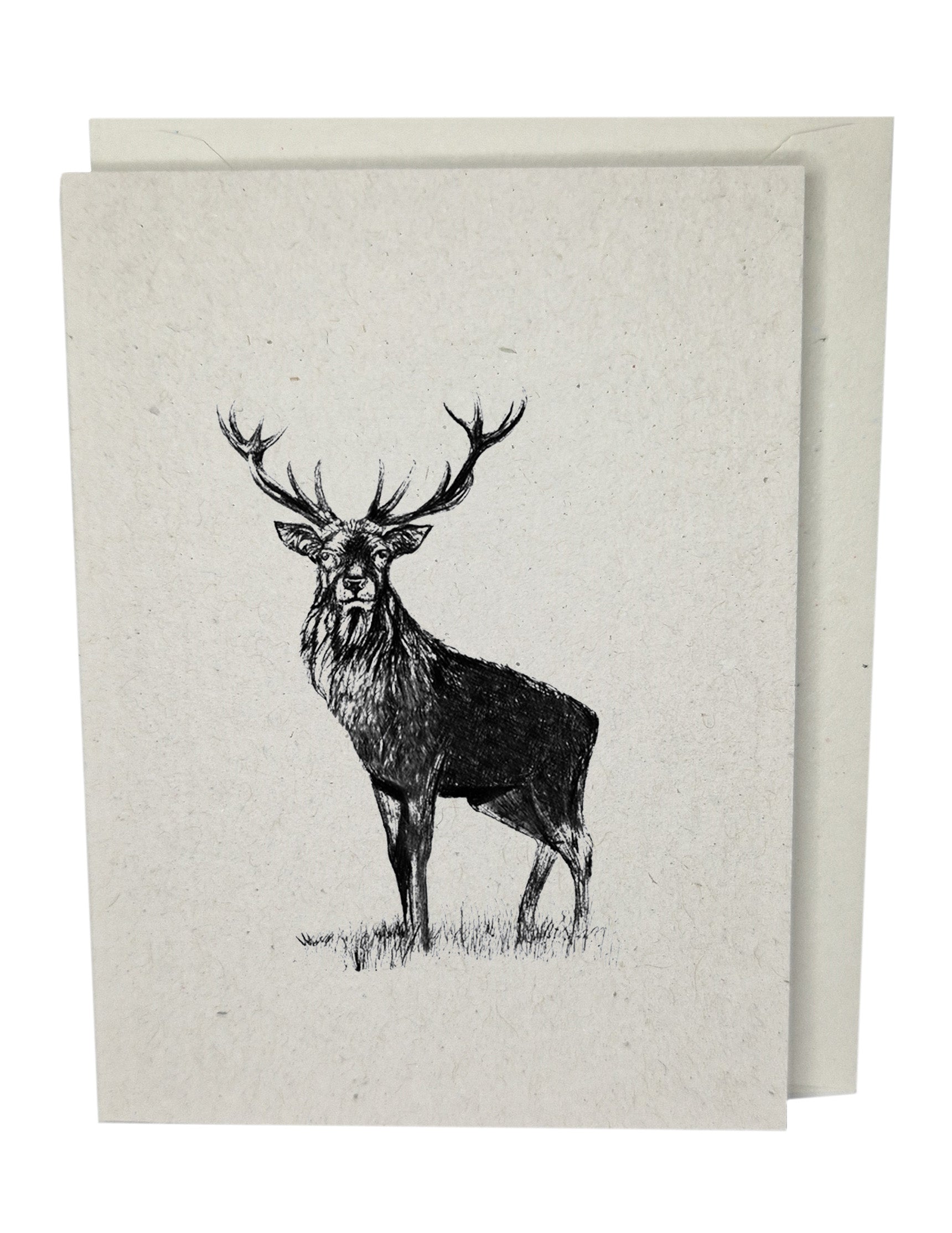 Stag  Recycled Paper Brown Blank Greeting Card