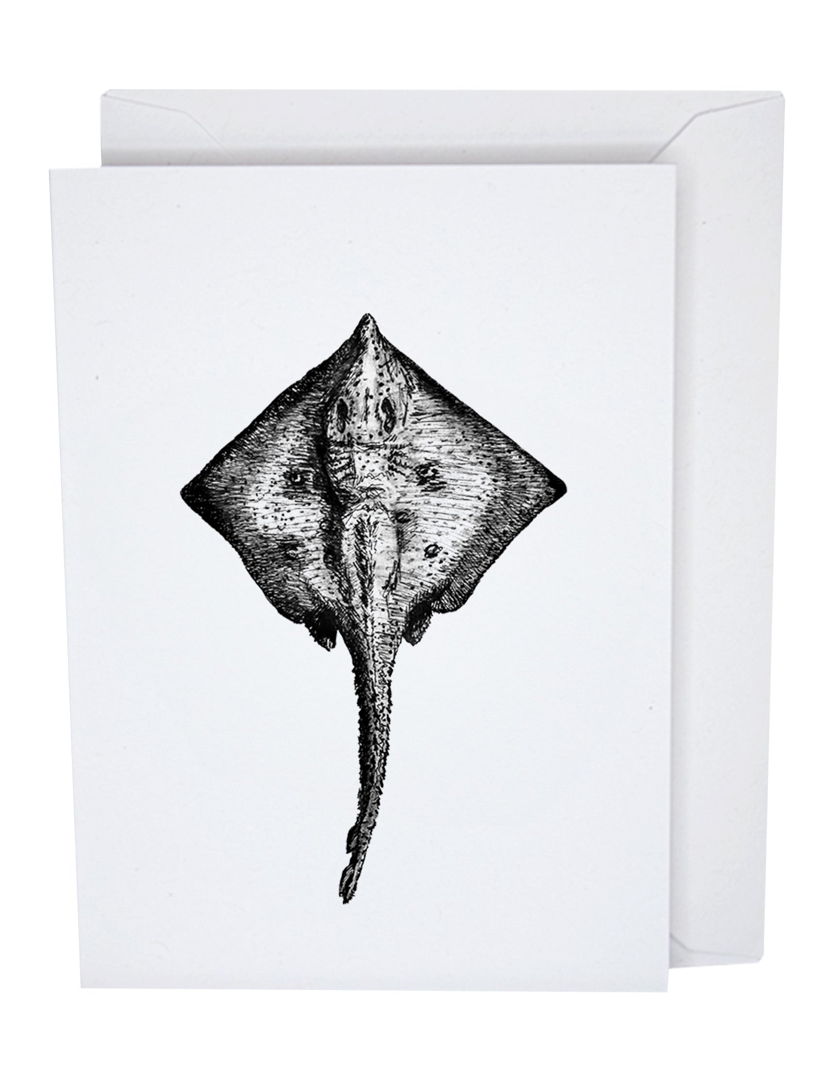 Stingray Recycled Paper Blank Greeting Card