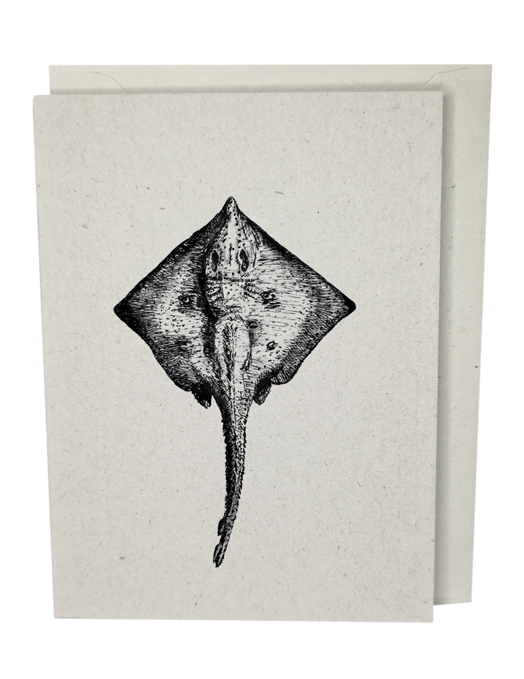 Stingray Recycled Paper Brown Blank Greeting Card