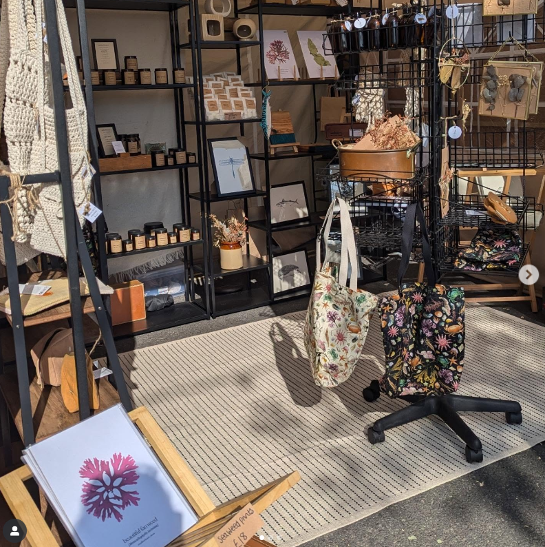 Spend Dartmouth Regatta with Leocadia