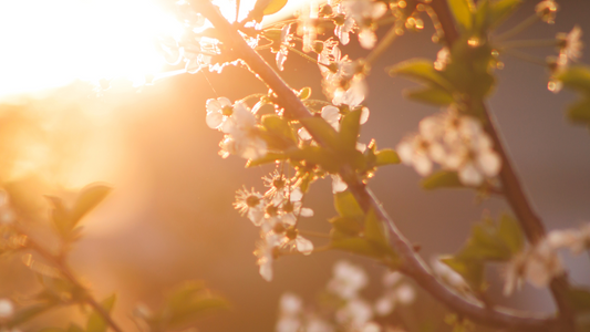 The Spring Reset 🌱