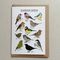 Garden Birds Greeting Card