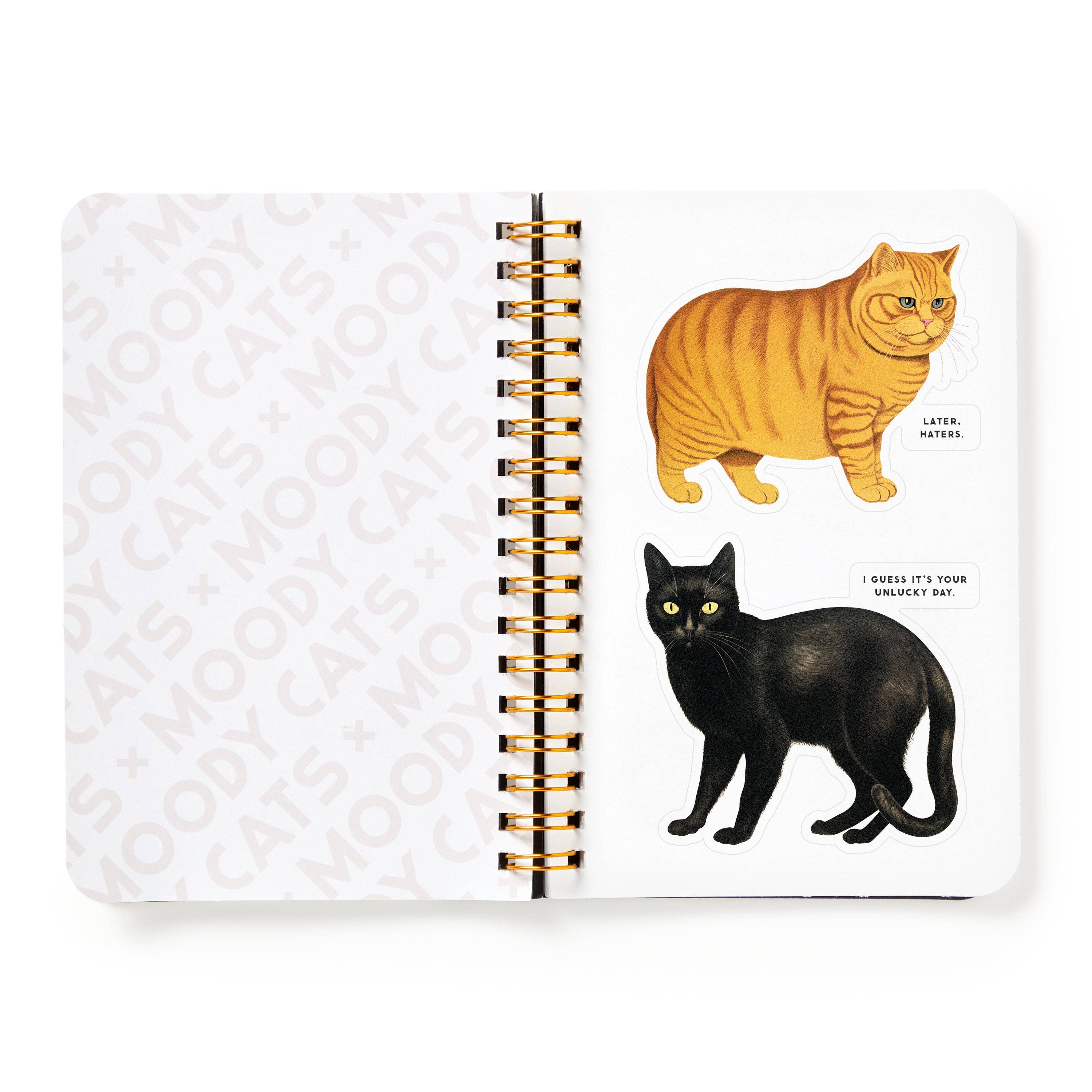 "Moody Cats" Sticker Book