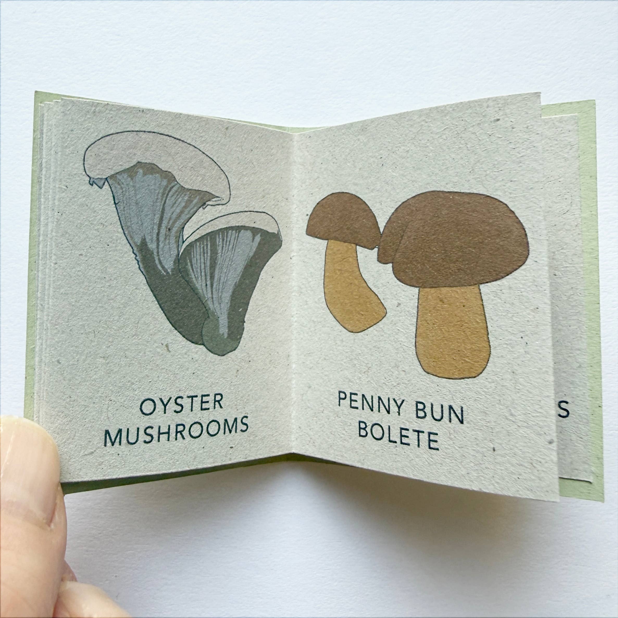 Tiny Nature Books