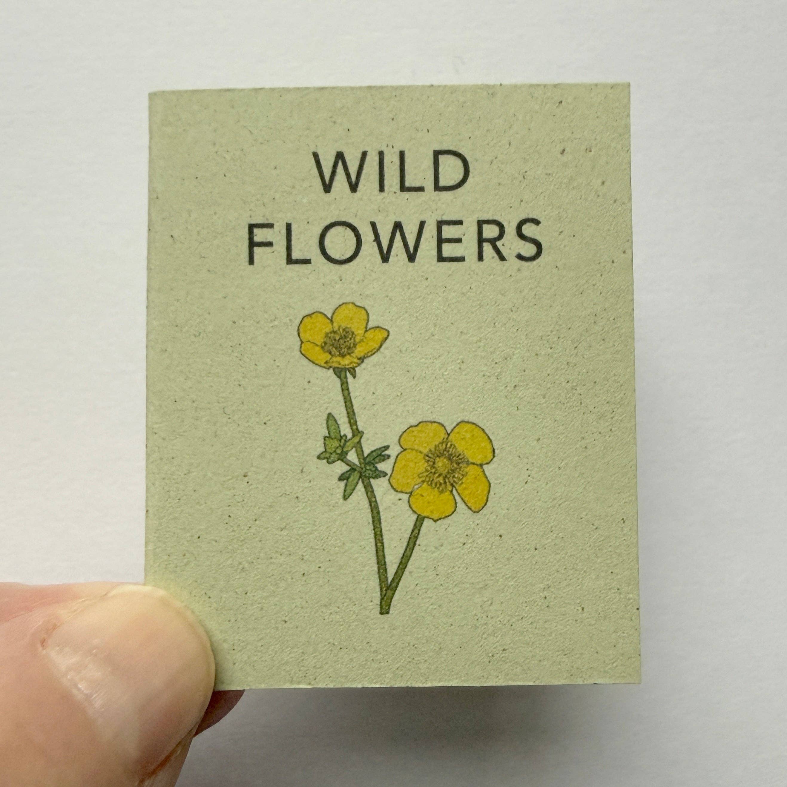 Tiny Nature Books