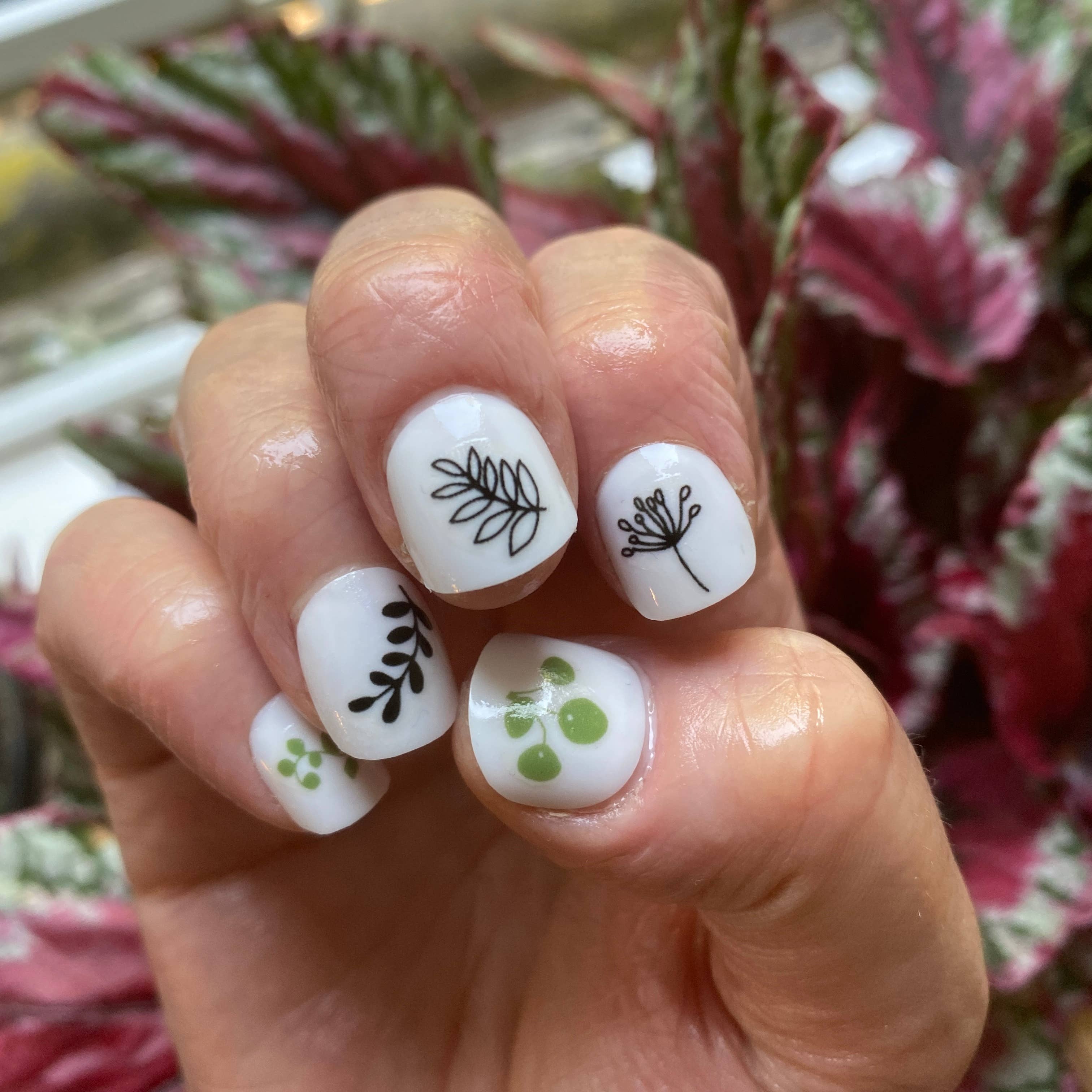 Plant Nail Art Transfers
