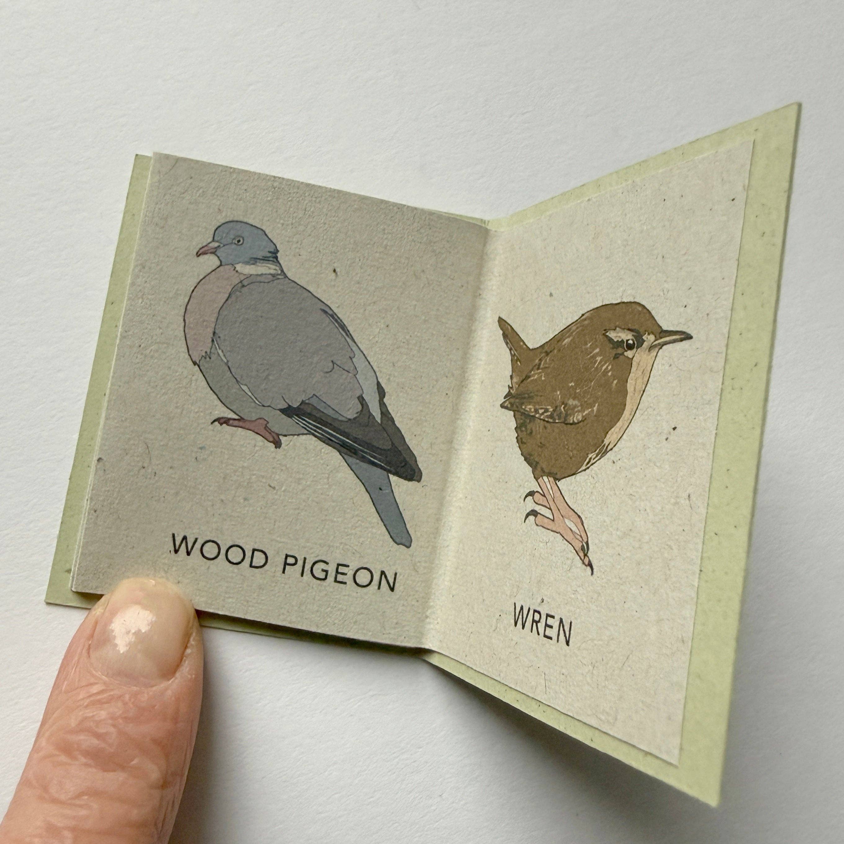 Tiny Nature Books