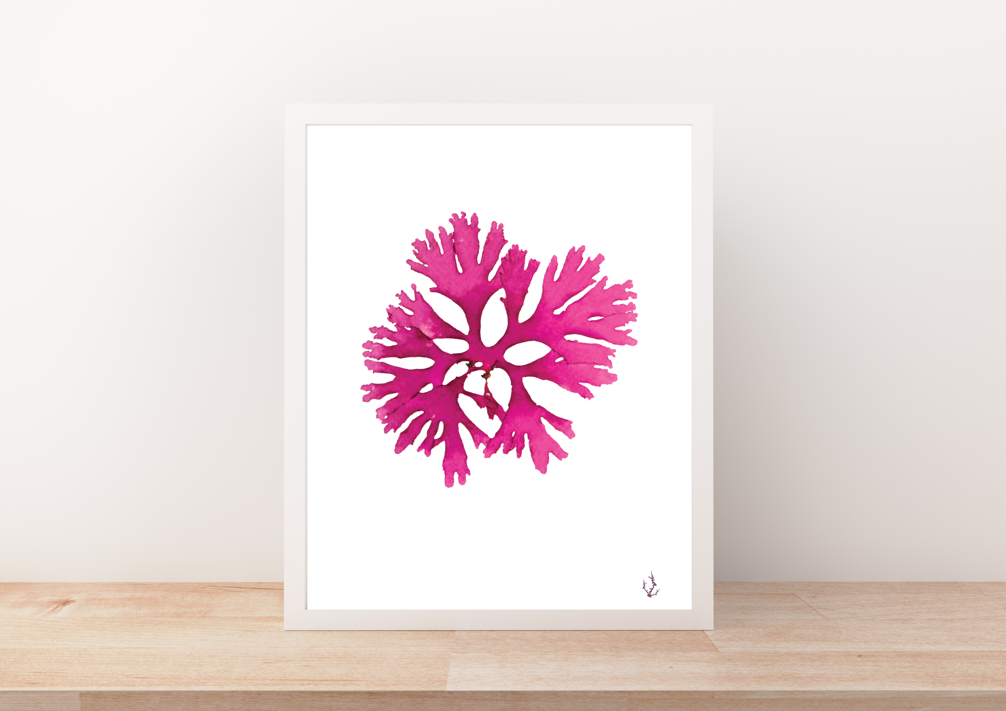Pressed Seaweed Art Prints