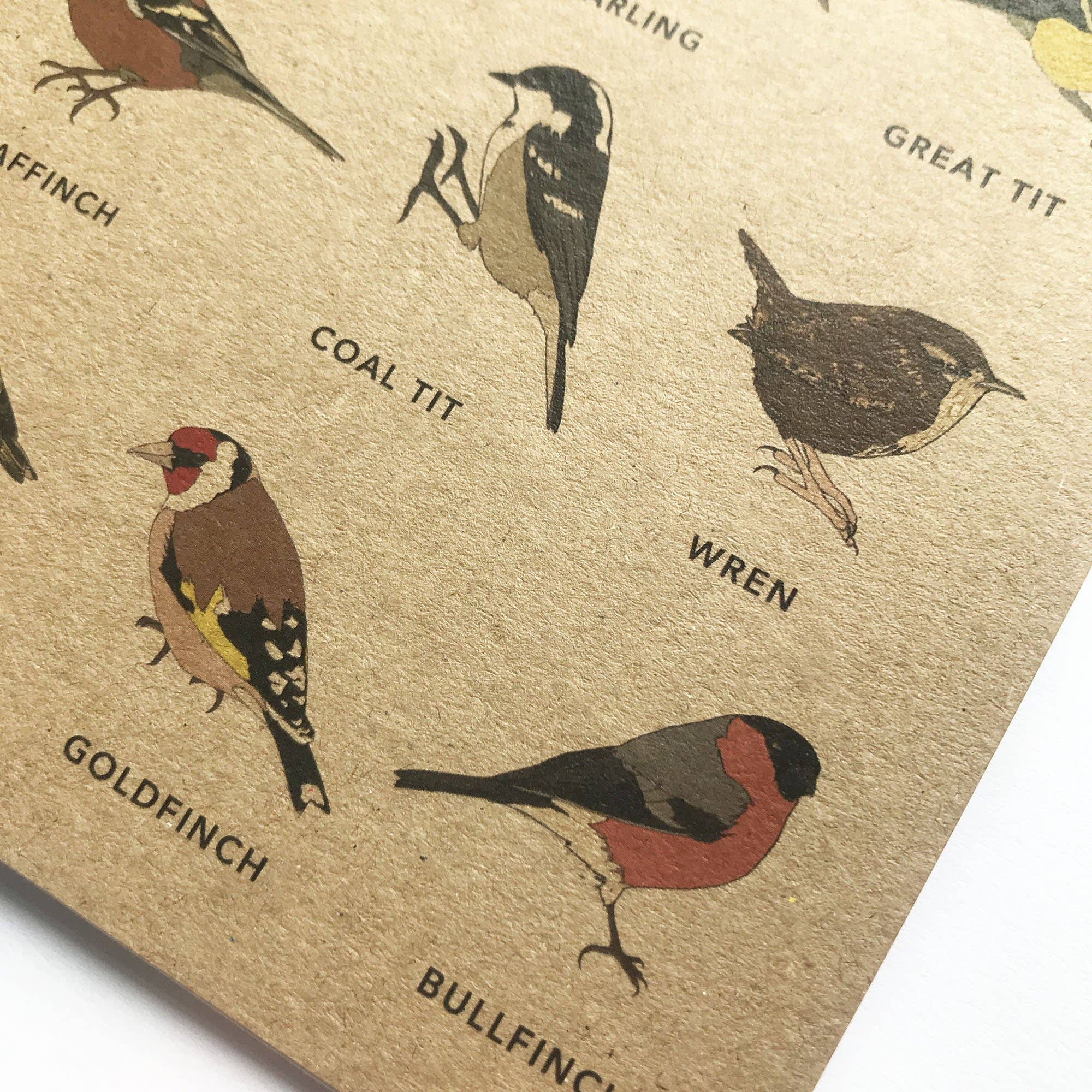 Garden Bird Notebook