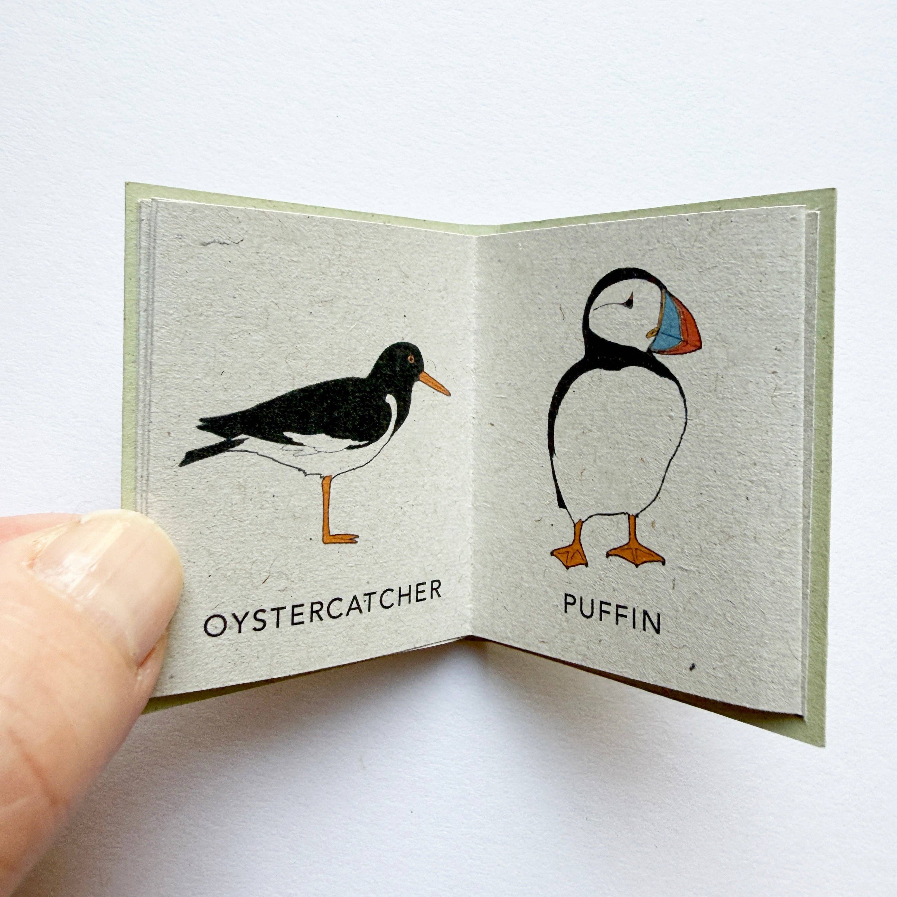 Tiny Nature Books