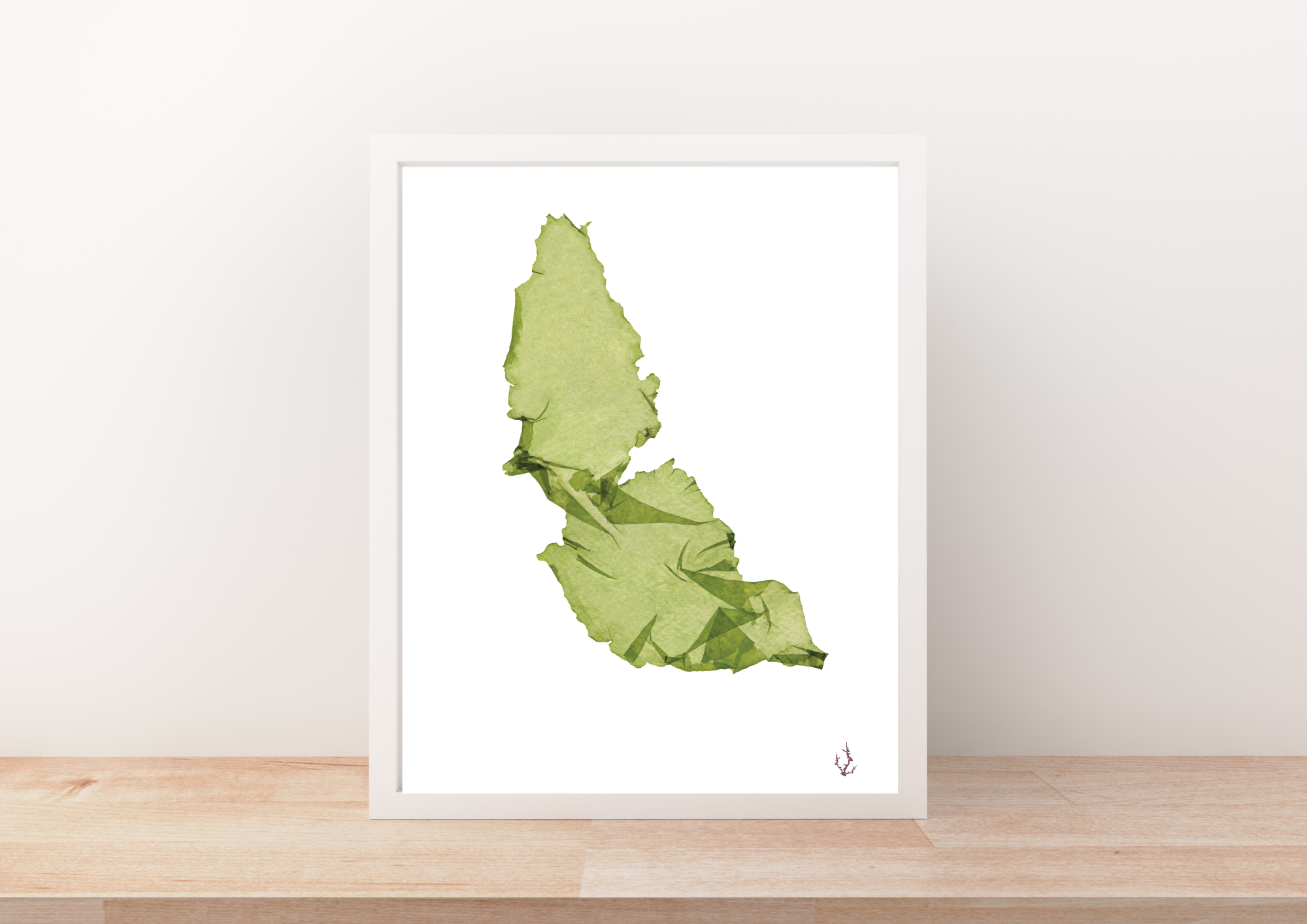 Pressed Seaweed Art Prints
