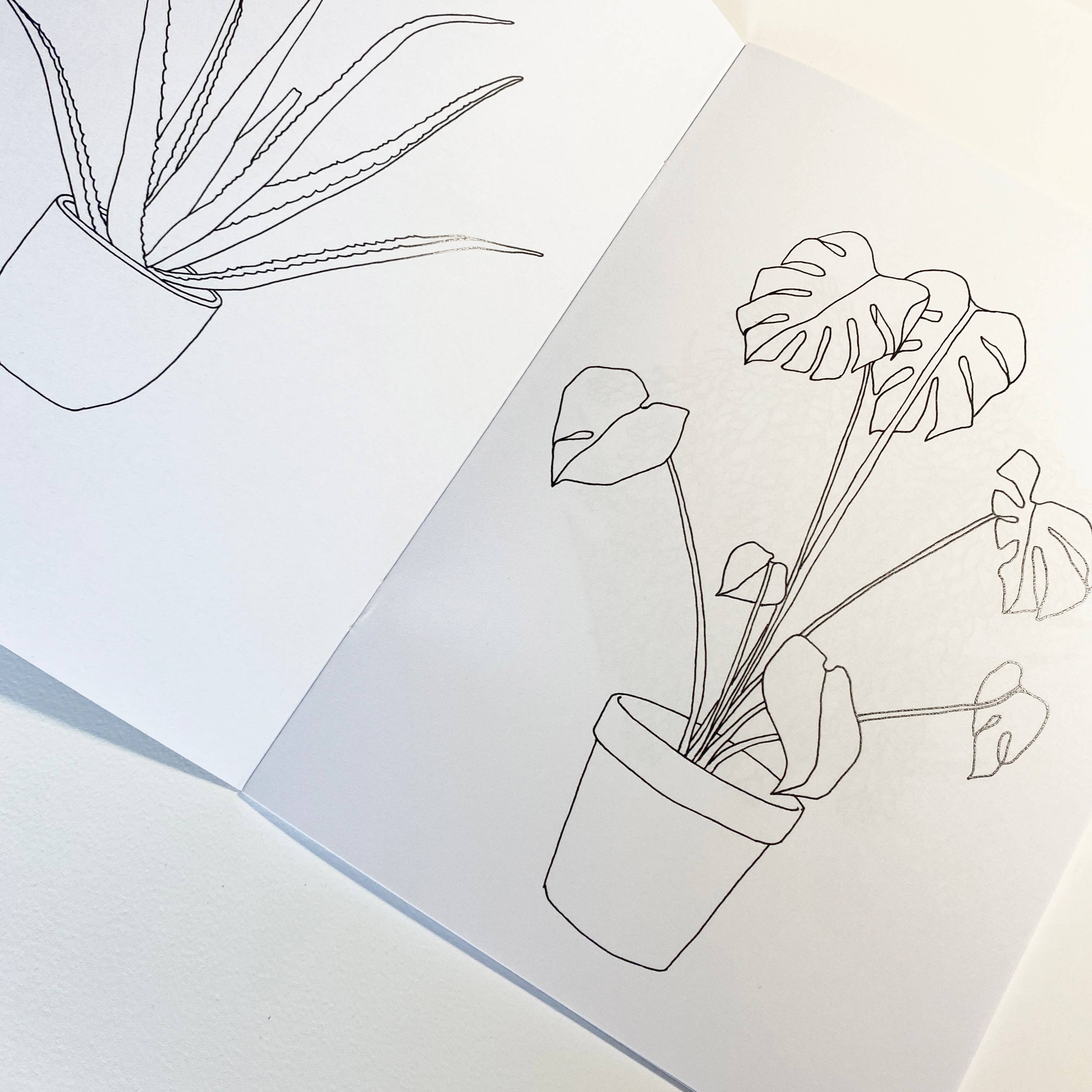 House Plant Colouring Book