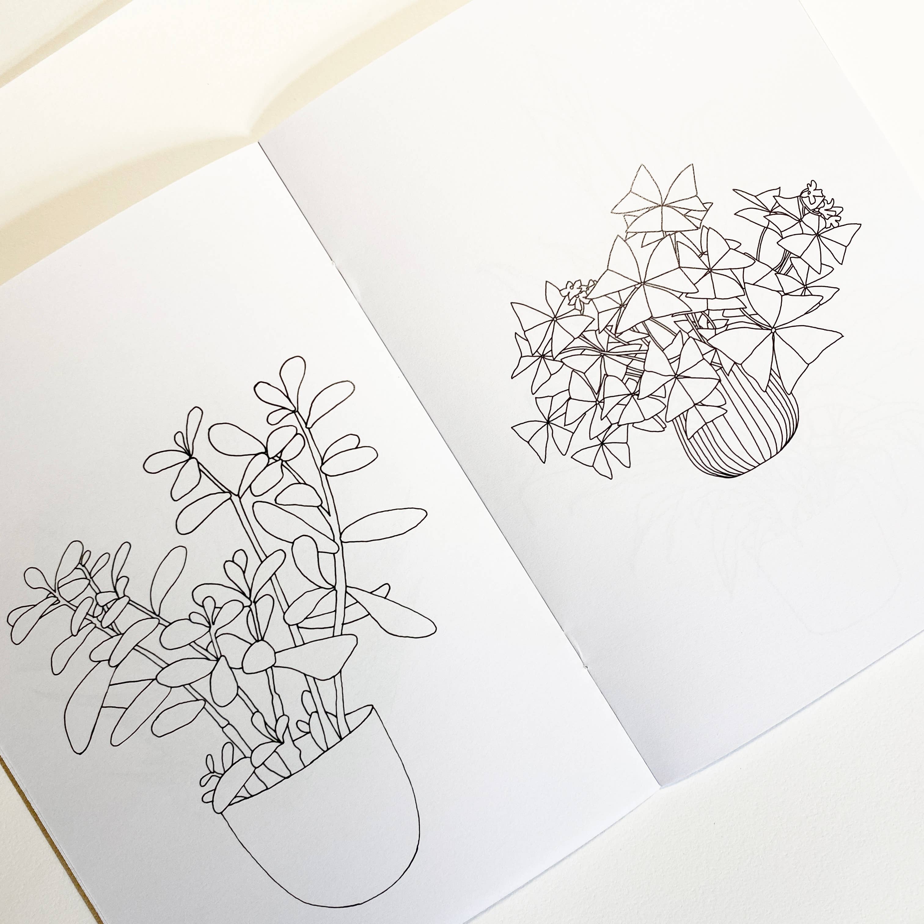 House Plant Colouring Book
