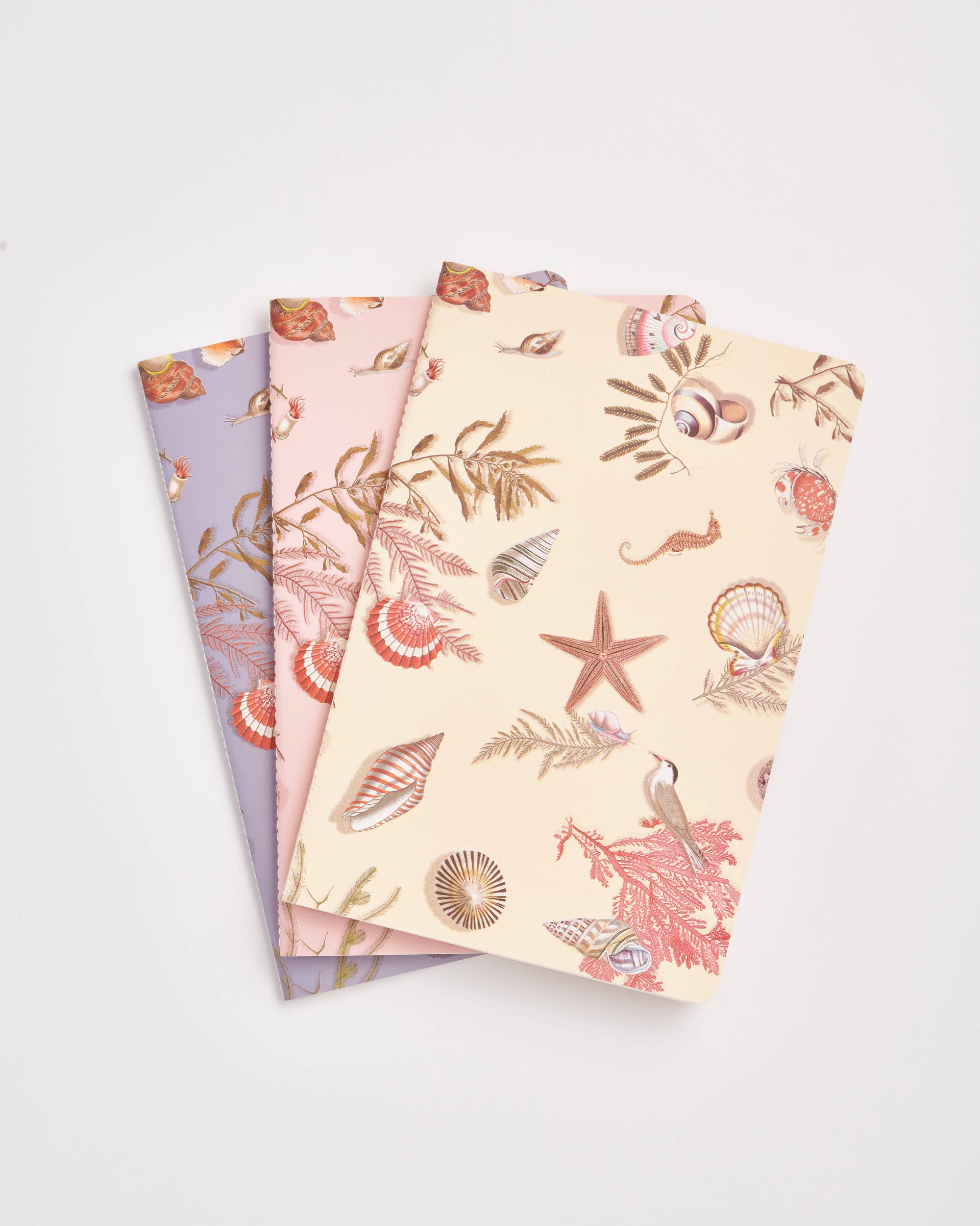 Pack of 3 Coastal Notebooks